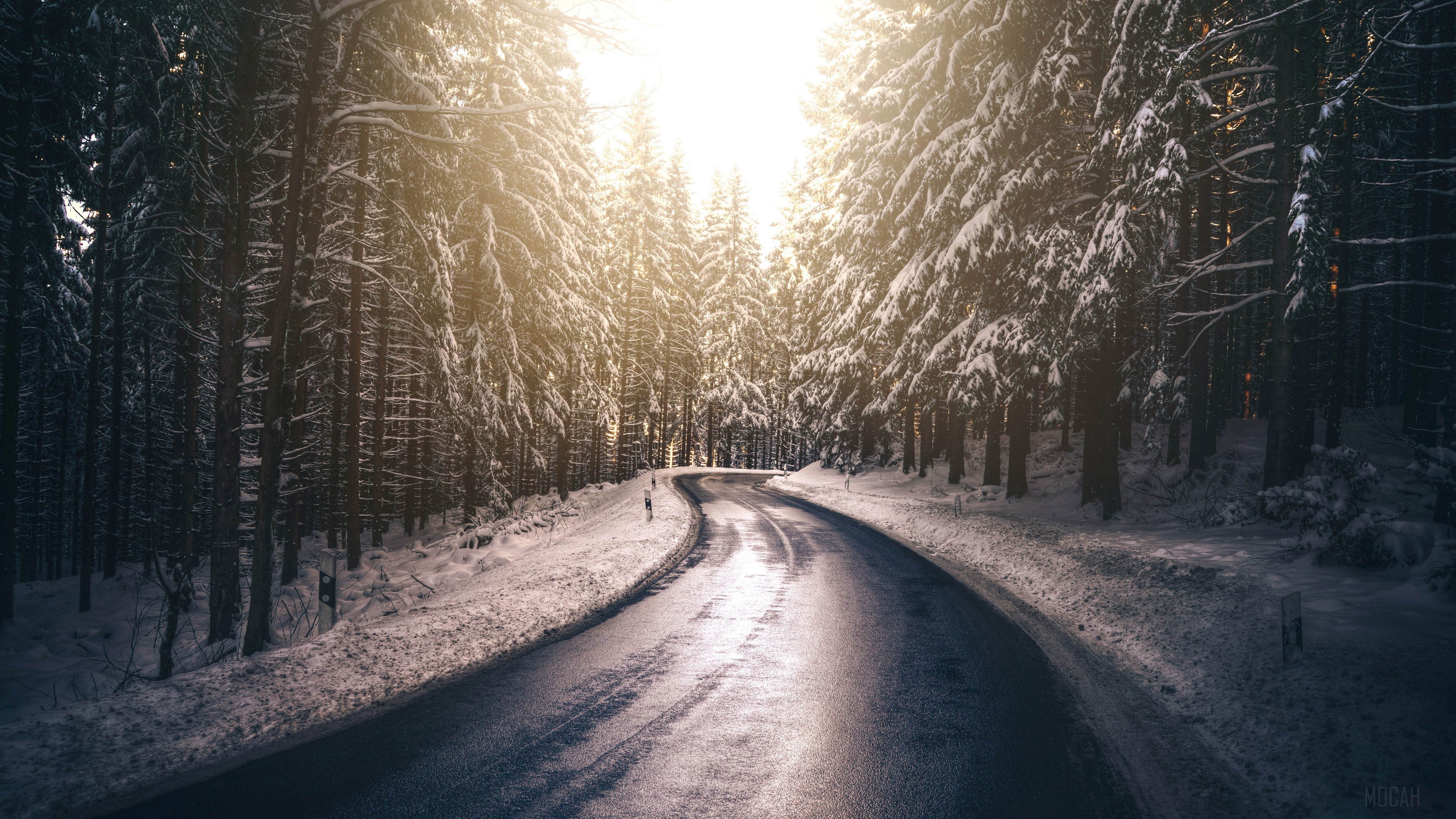 Snowy Forest Road with Sunlight HD Wallpaper