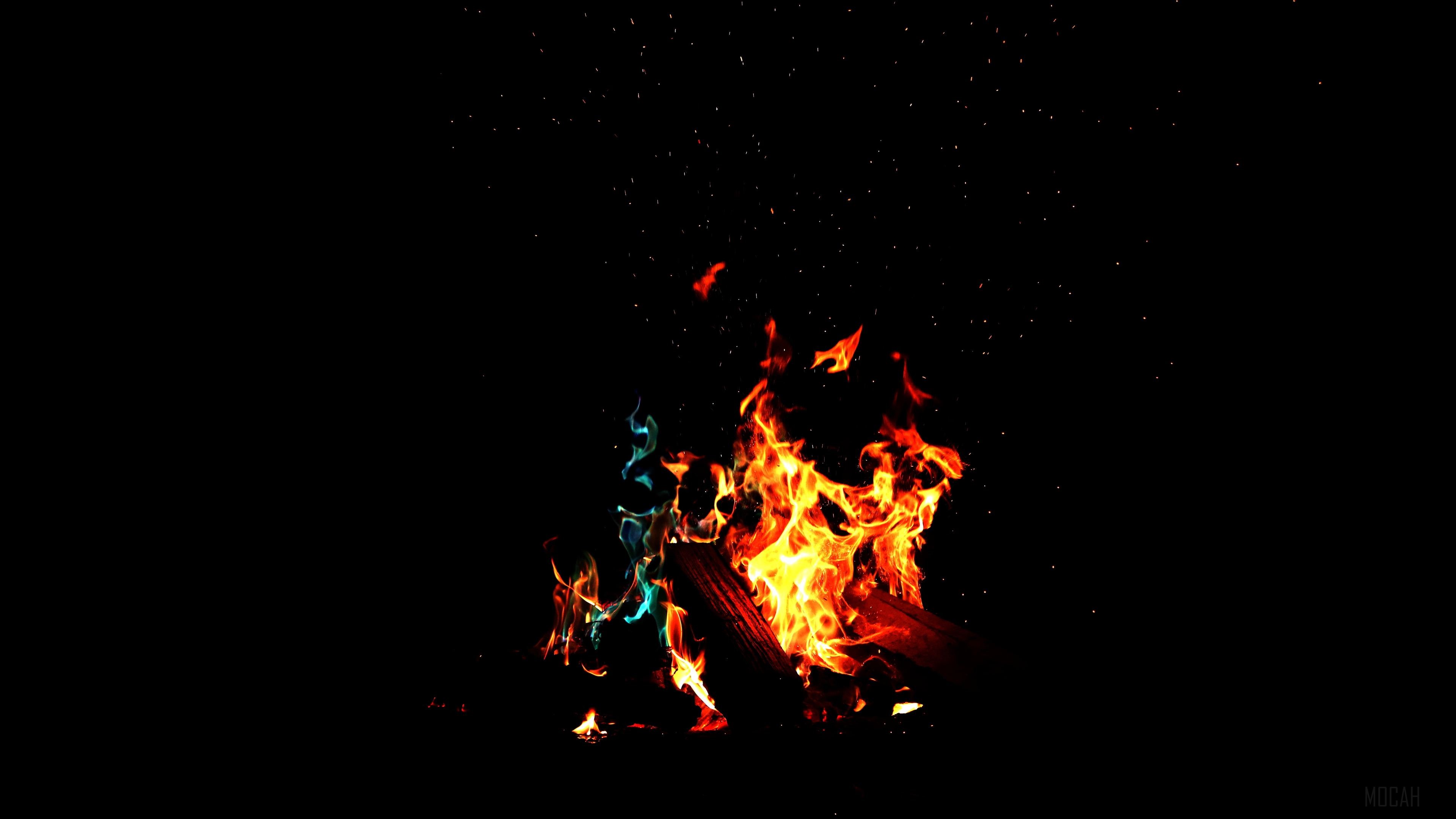 Running Flame In Dark Forest HD Wallpaper