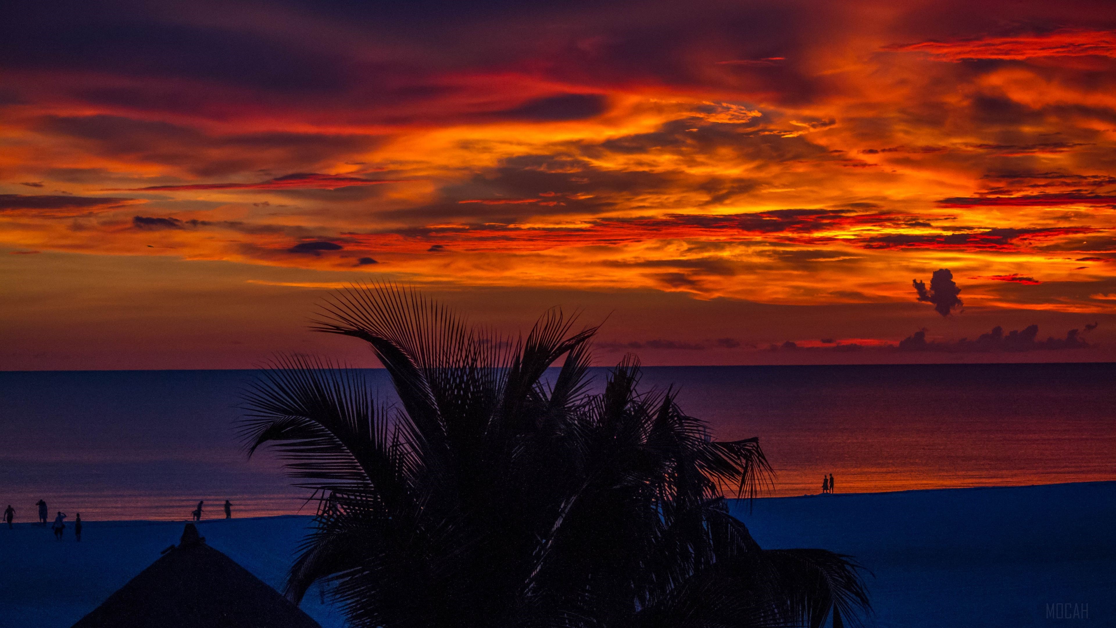 Sunset over the ocean with palm trees and people on the beach HD Wallpaper