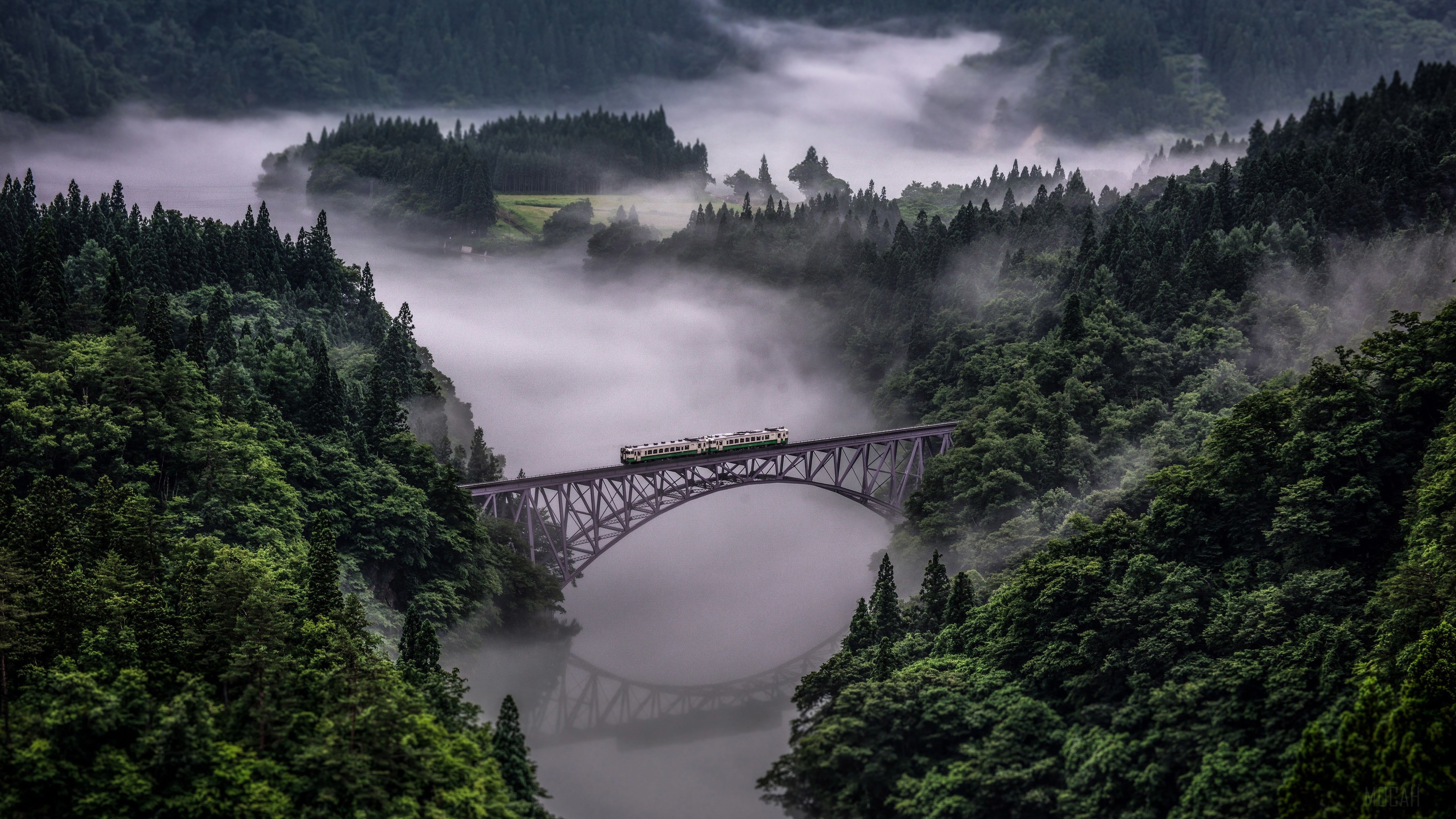 Train crossing a bridge in a foggy forest HD Wallpaper