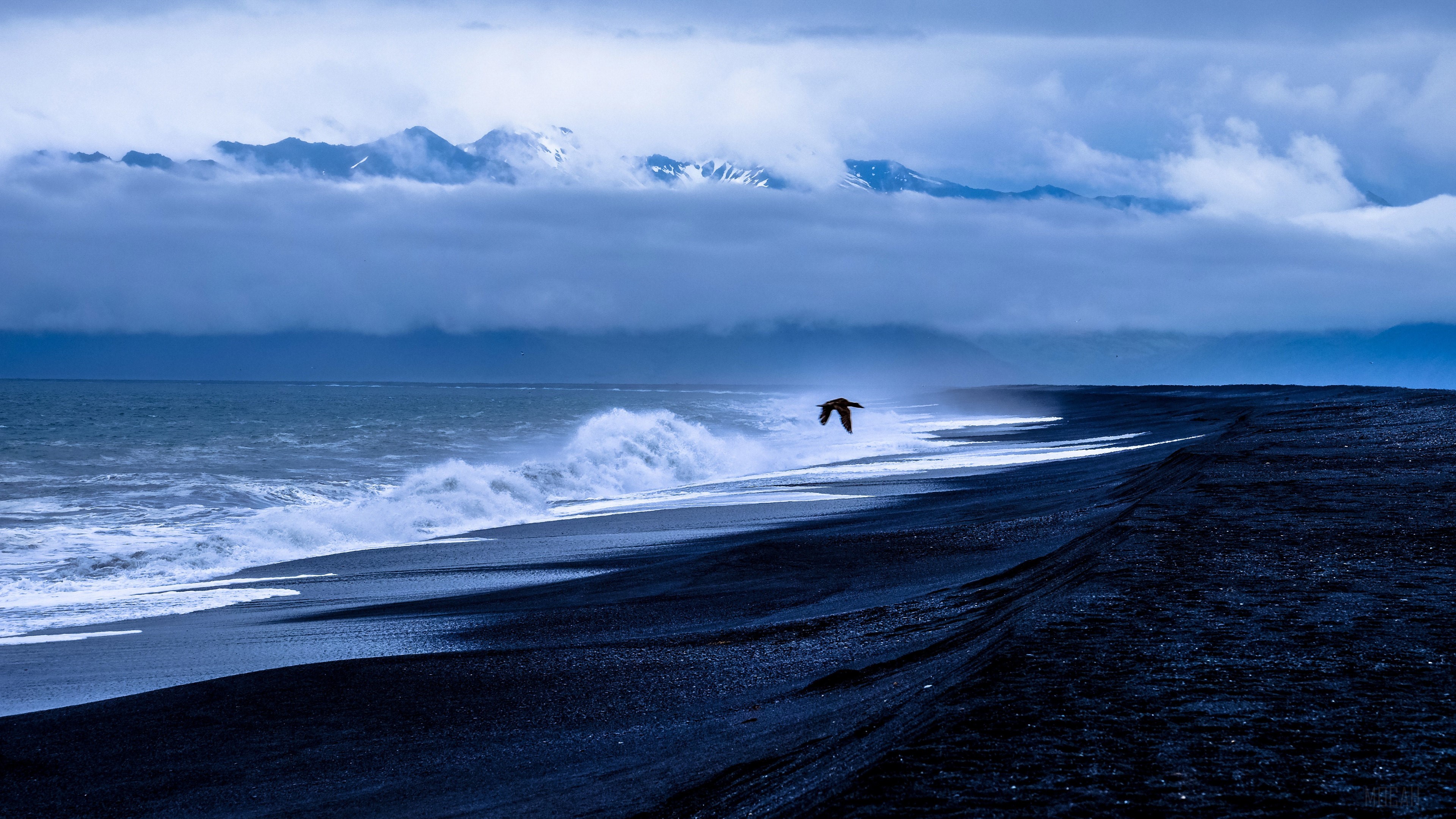 Bird flying over a black sand beach with waves and mountains HD Wallpaper