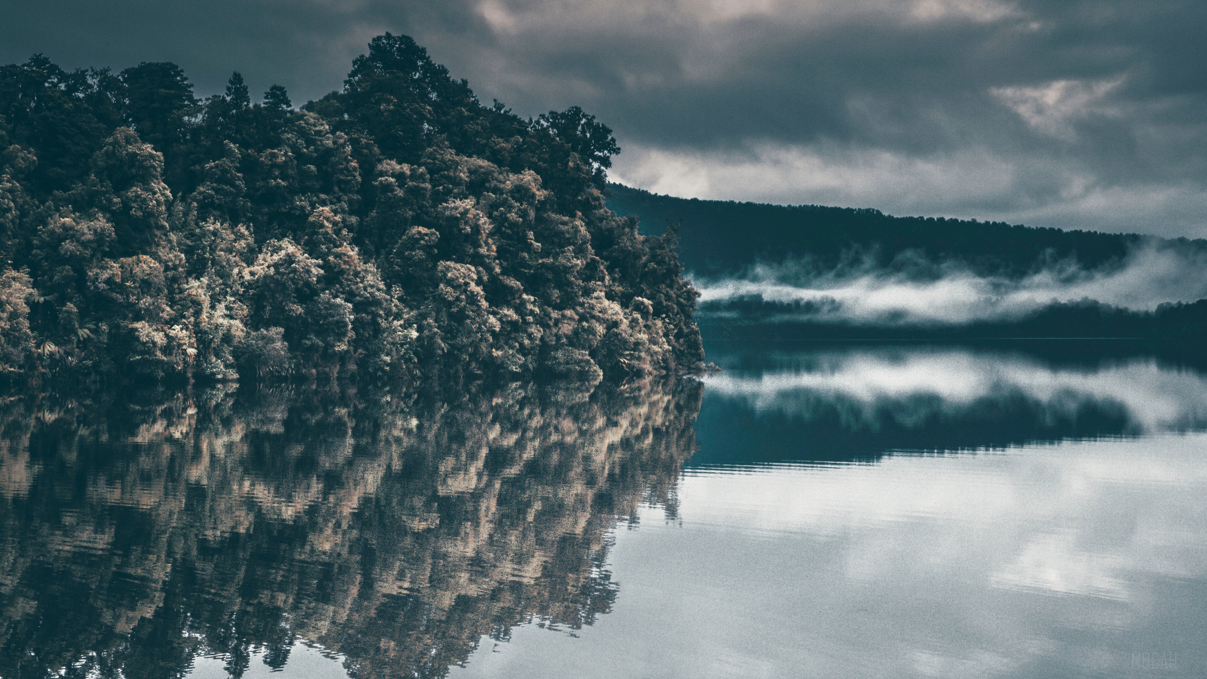 Trees and Fog over a Lake HD Wallpaper