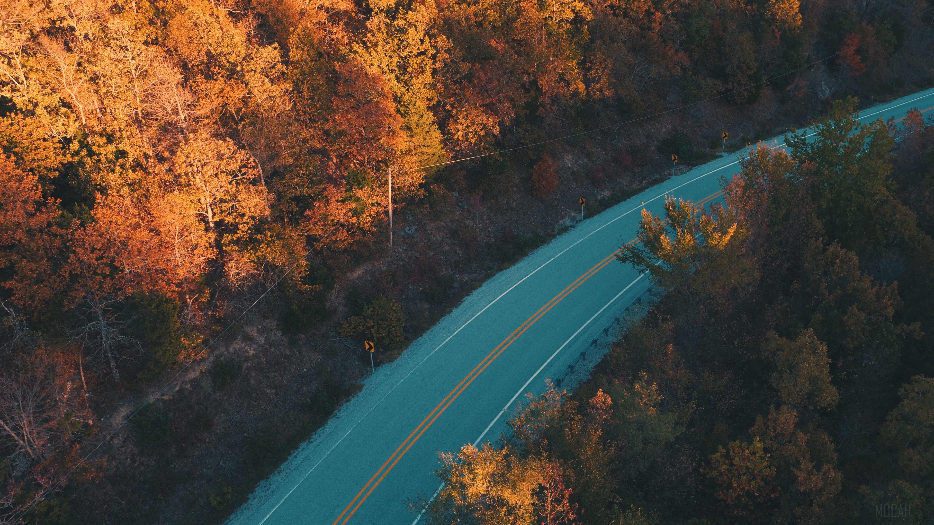 Road through Fall Trees 4K HD Wallpaper