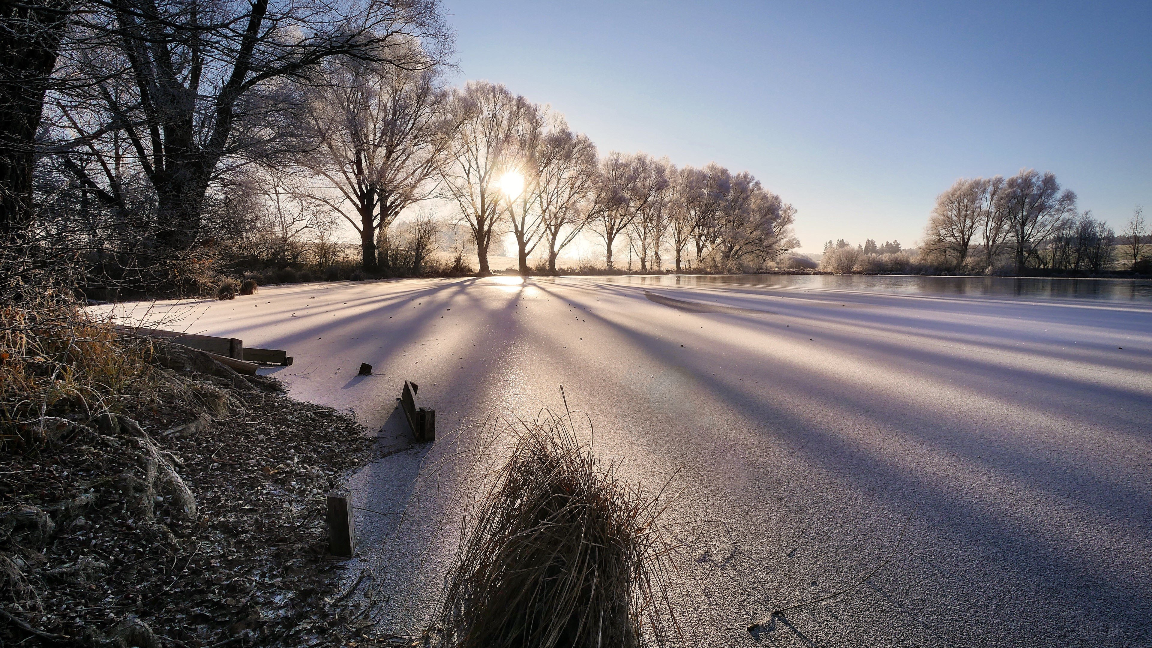 Frozen lake with sunbeams and frosted trees HD Wallpaper