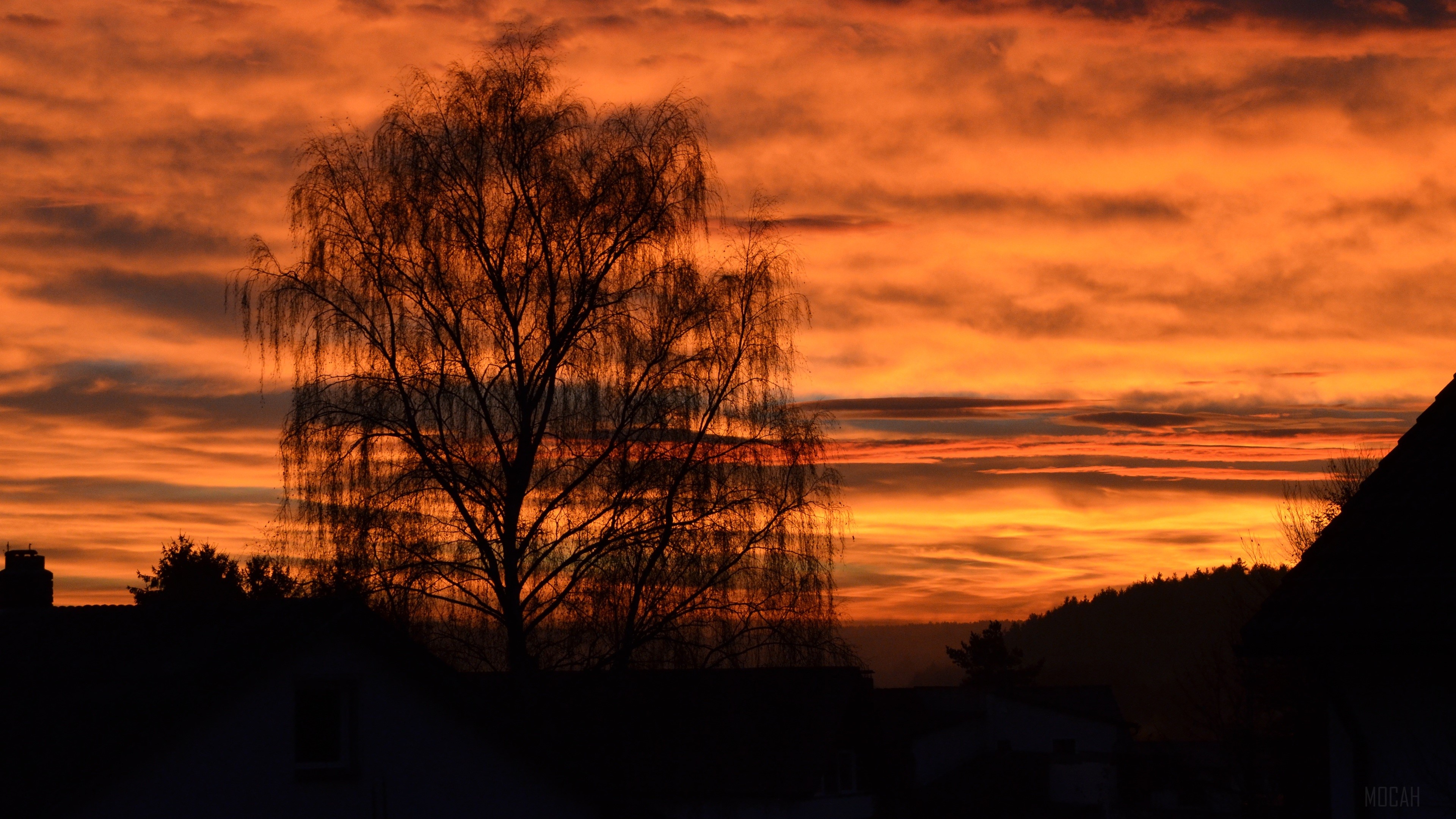 Golden Autumn Sunset Over Silhouetted Landscape HD Wallpaper