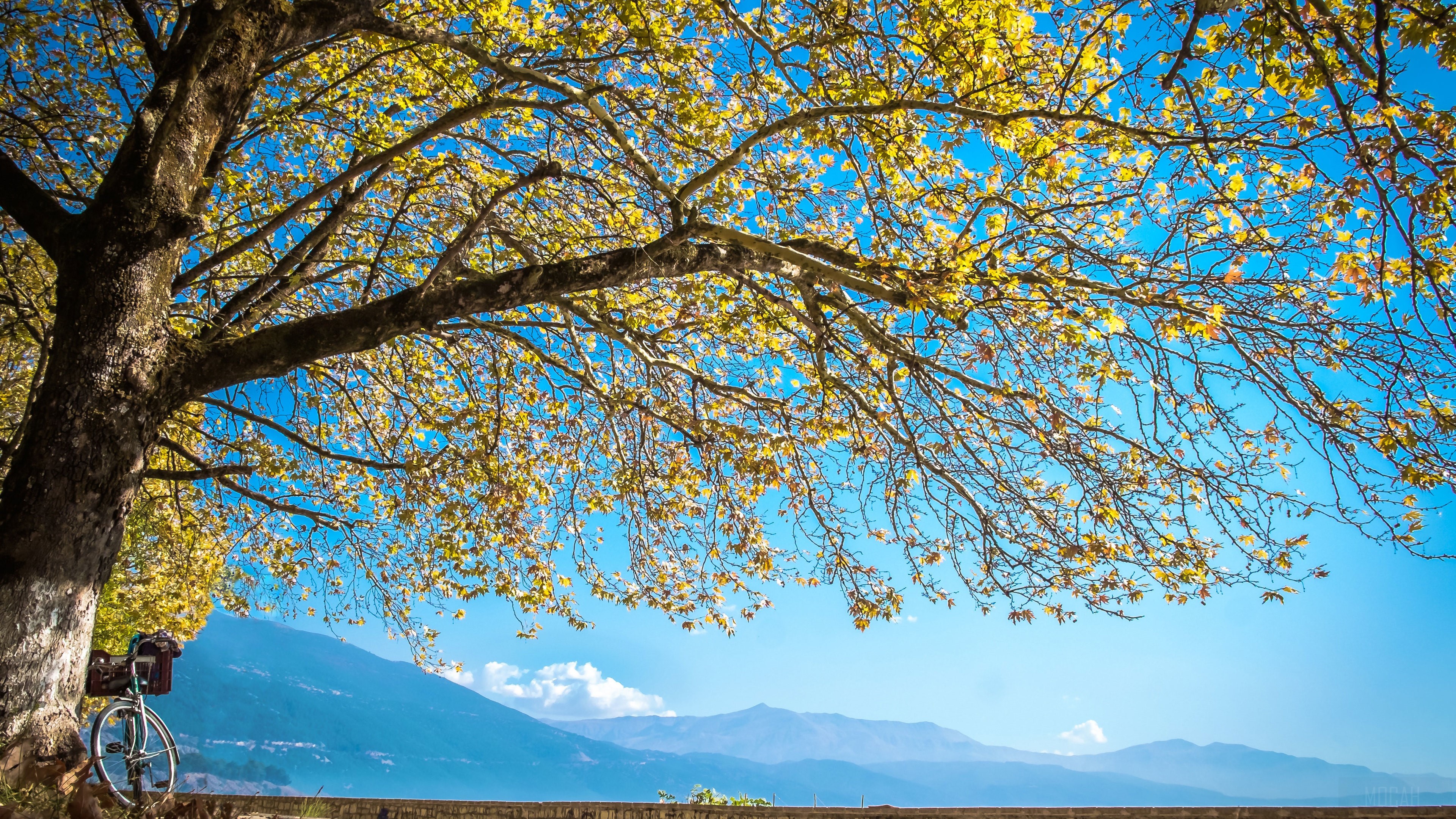 Autumn Tree with Bicycle and Mountains 4K HD Wallpaper