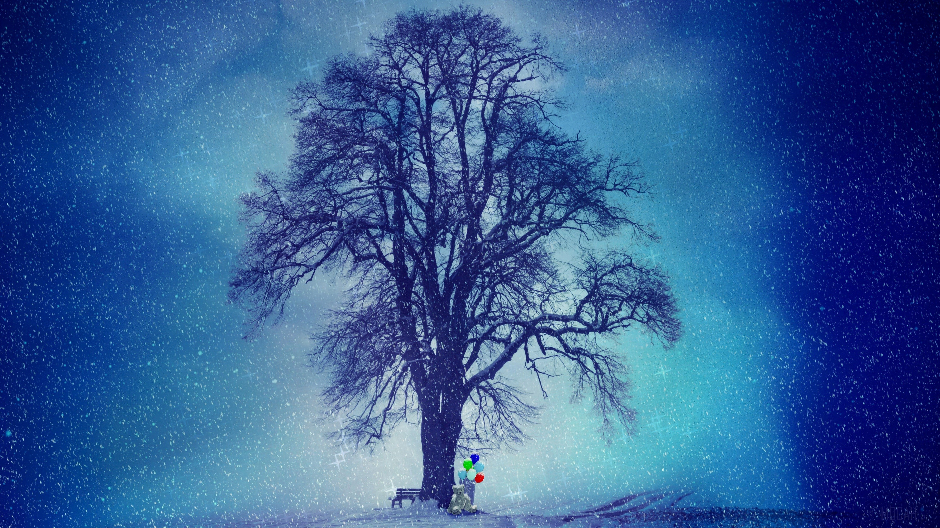 Bare tree in winter with balloons and a bench HD Wallpaper
