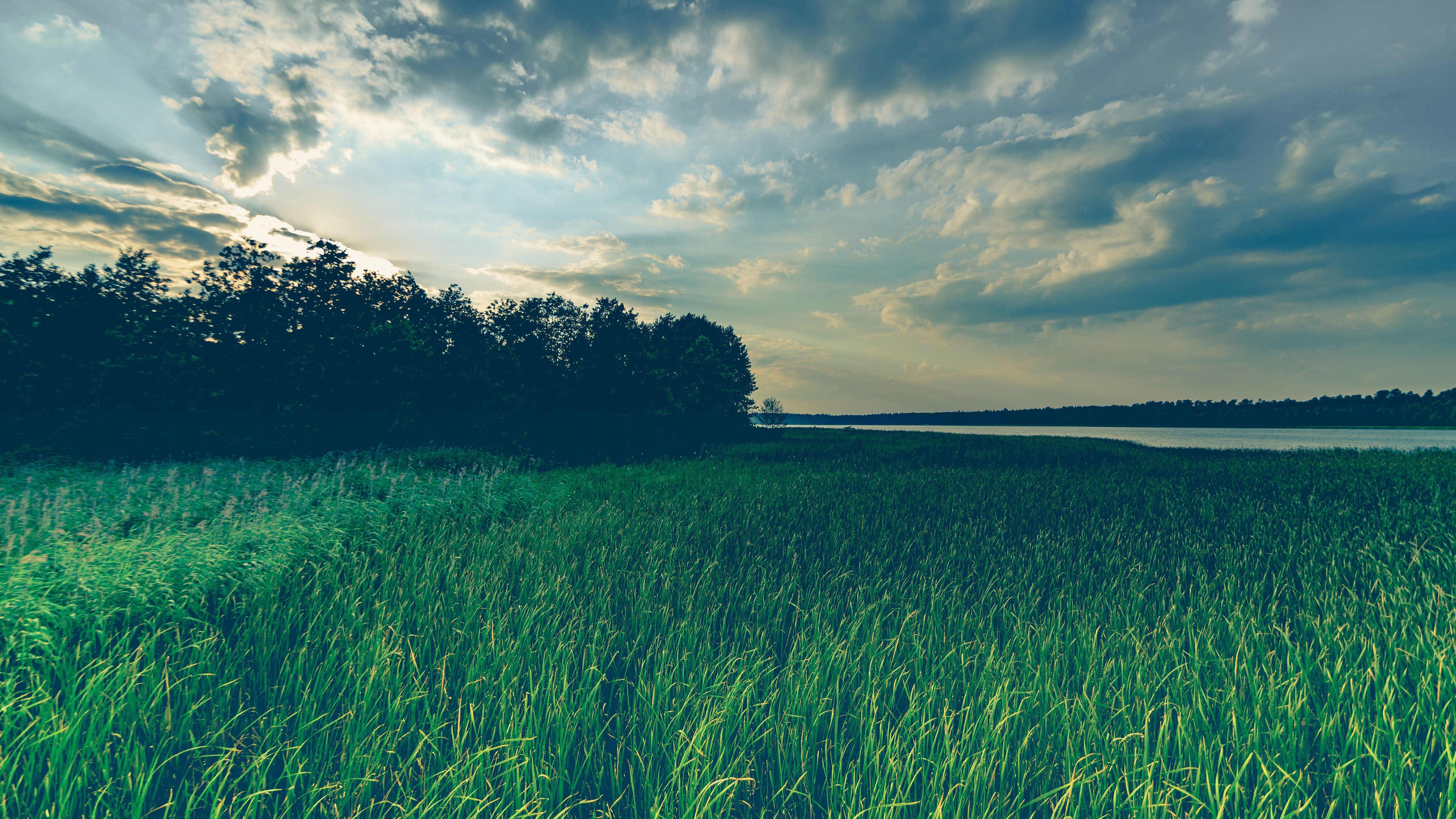 Green grass field with trees and lake under cloudy sky HD Wallpaper