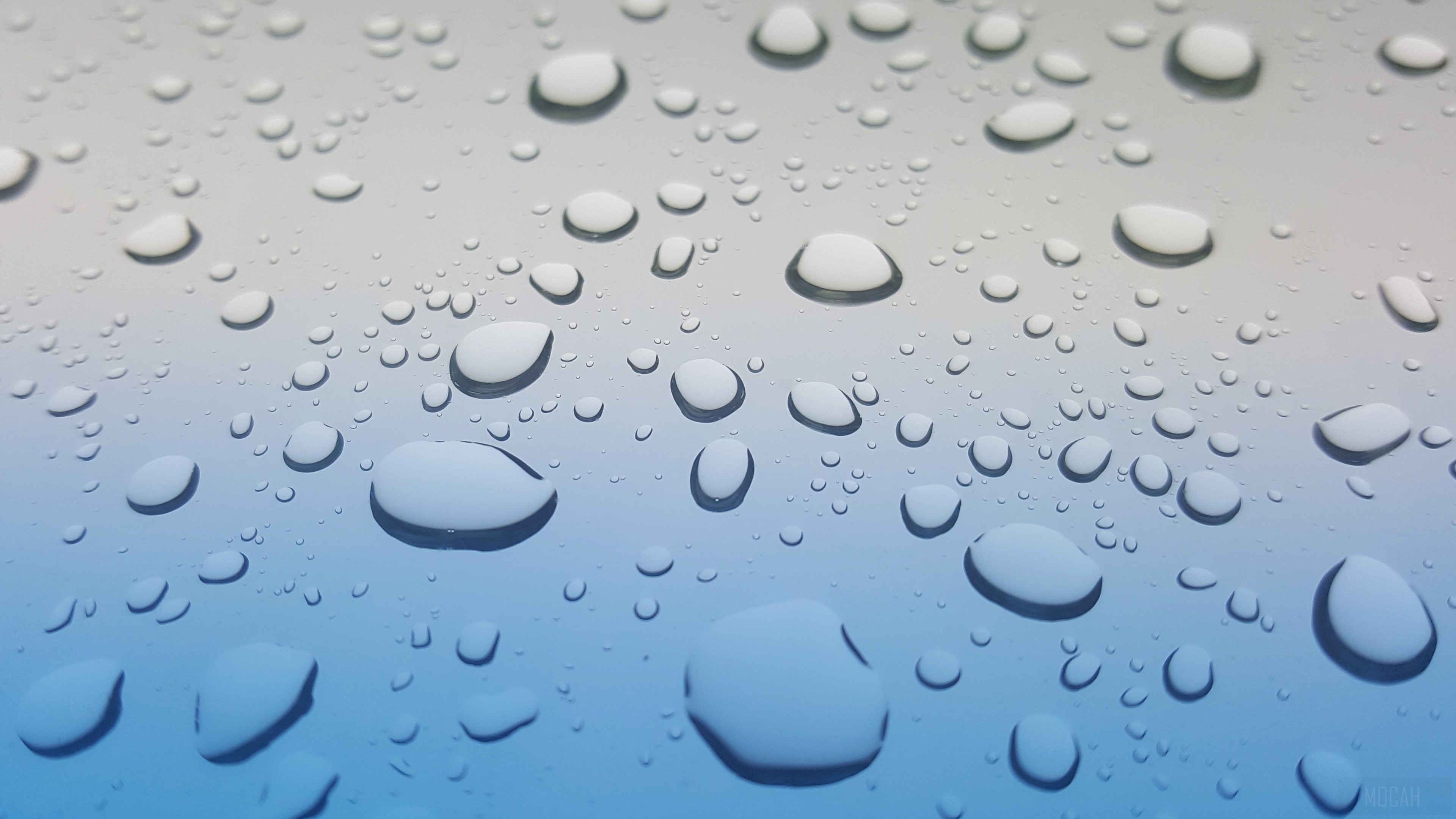 Rain Drops on a Surface 4K HD Wallpaper