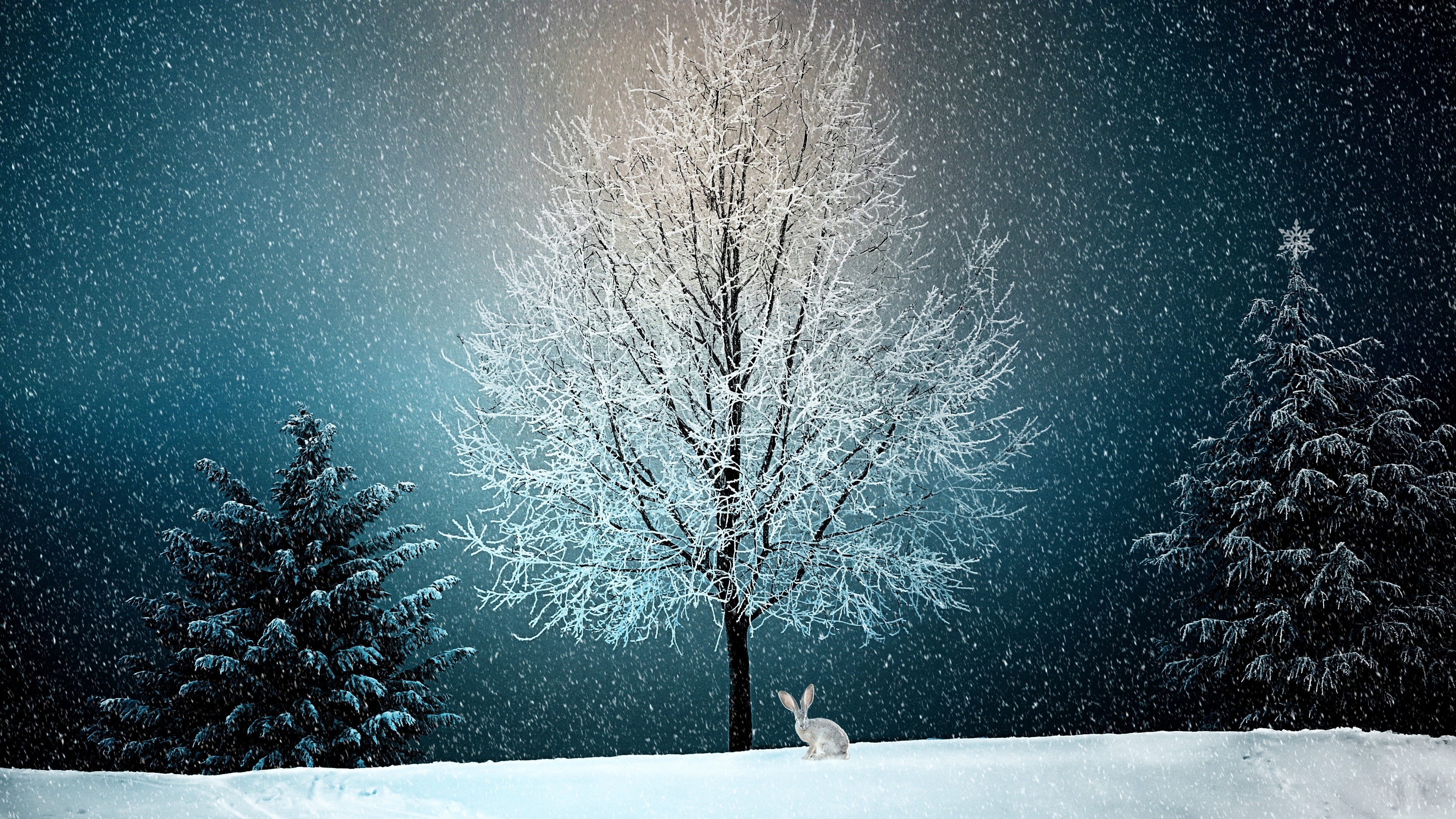 Winter Scene with Snowfall, Trees, and Rabbit HD Wallpaper
