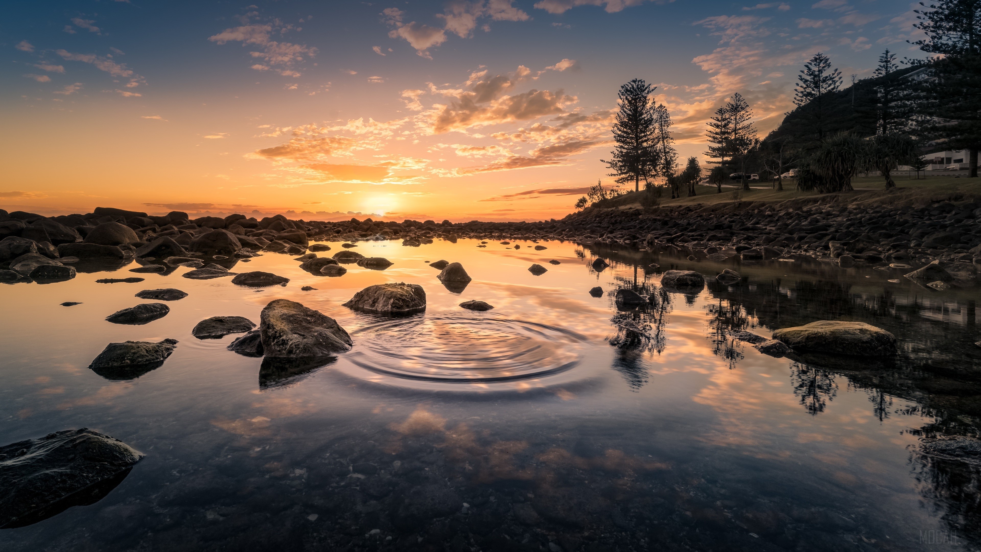 Sunset Over Rocky Water with Tree Reflections HD Wallpaper