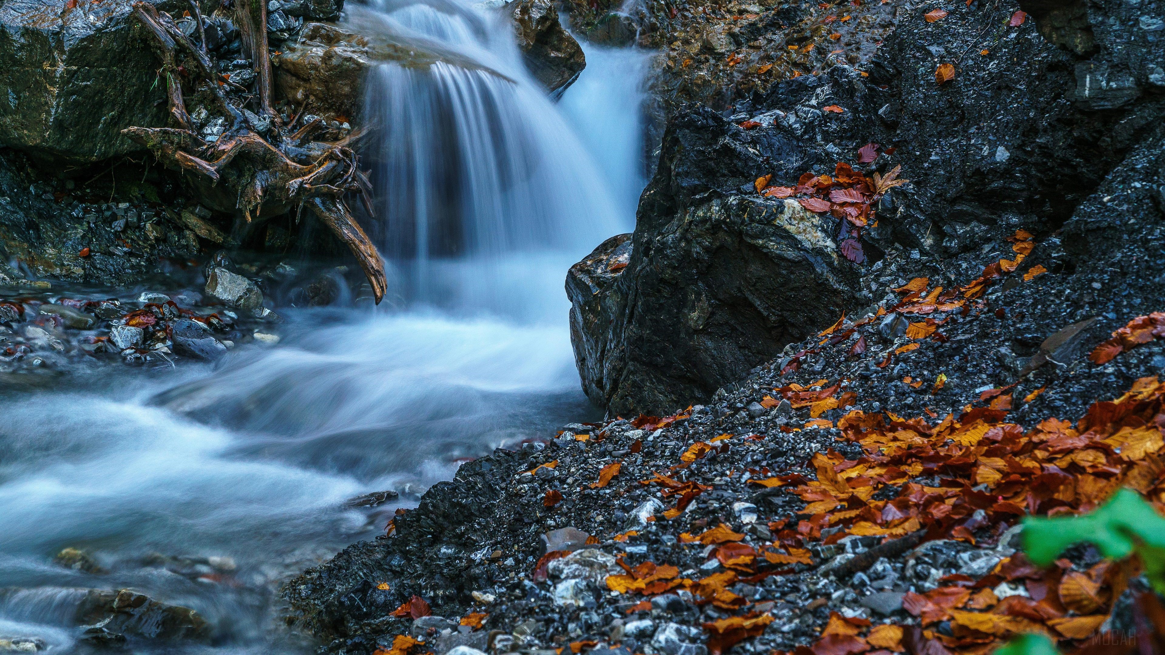Waterfall in a forest with autumn leaves HD Wallpaper