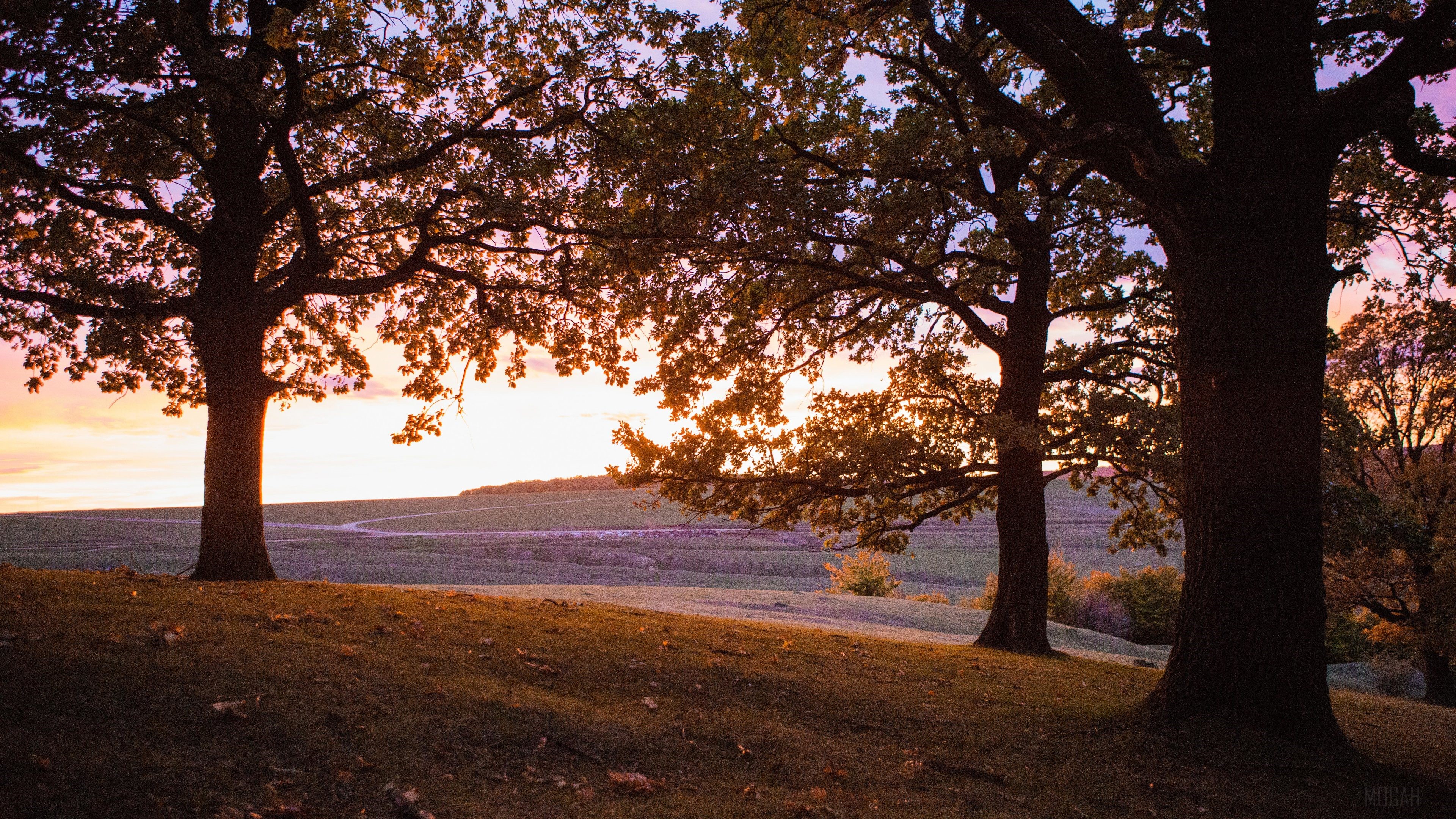 Sunset over fields with trees in Suceava 4K HD Wallpaper