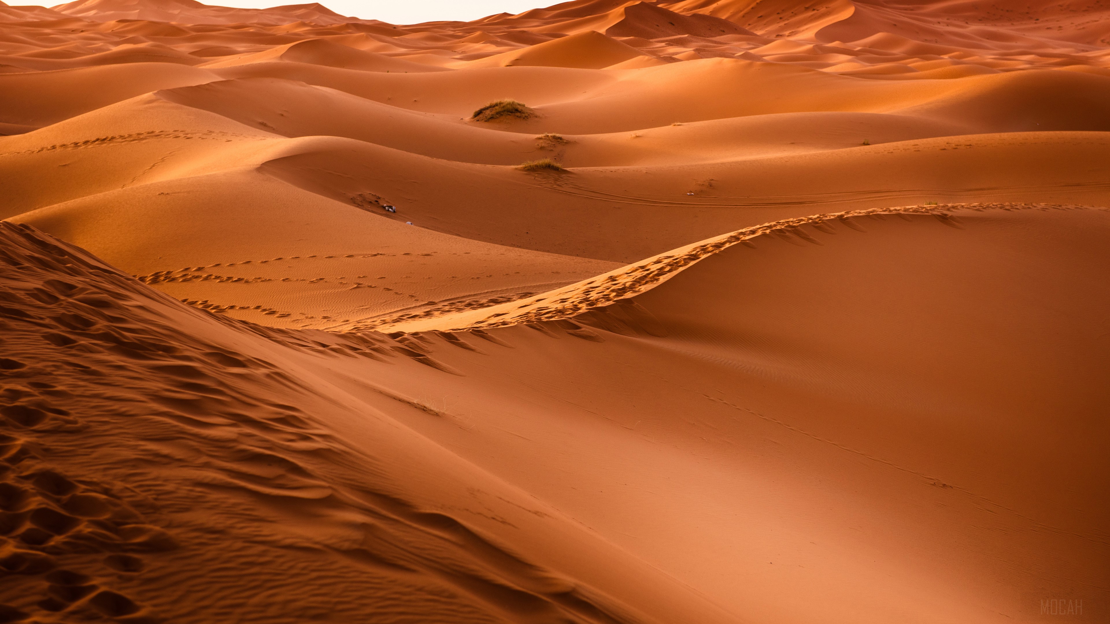 Desert Sand Dunes 4K HD Wallpaper