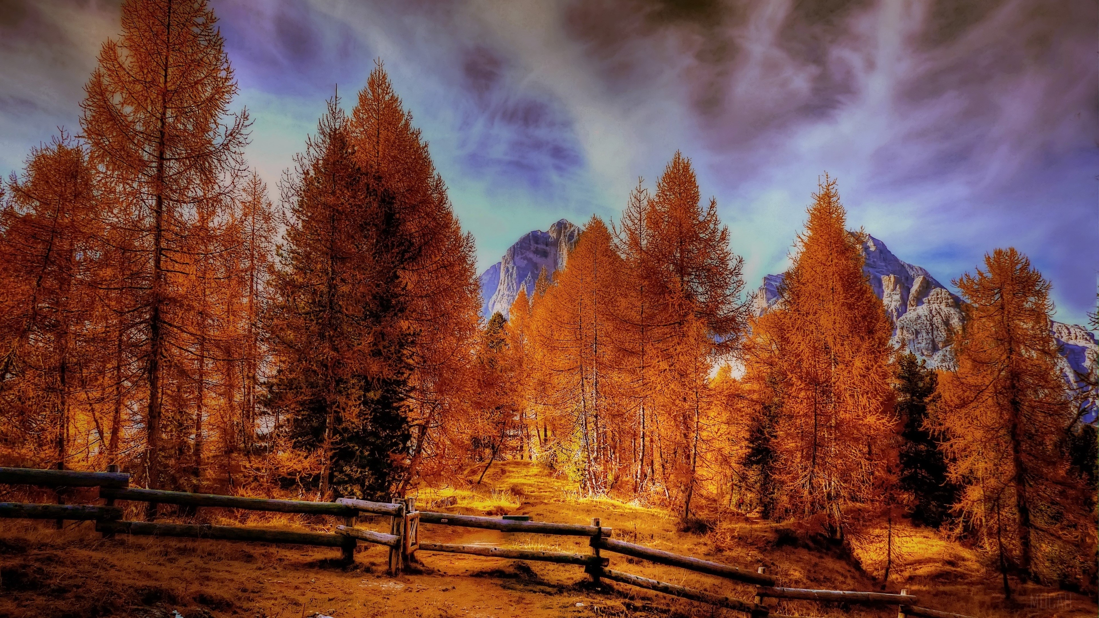 Autumn Forest with Alpine Mountains 4K HD Wallpaper