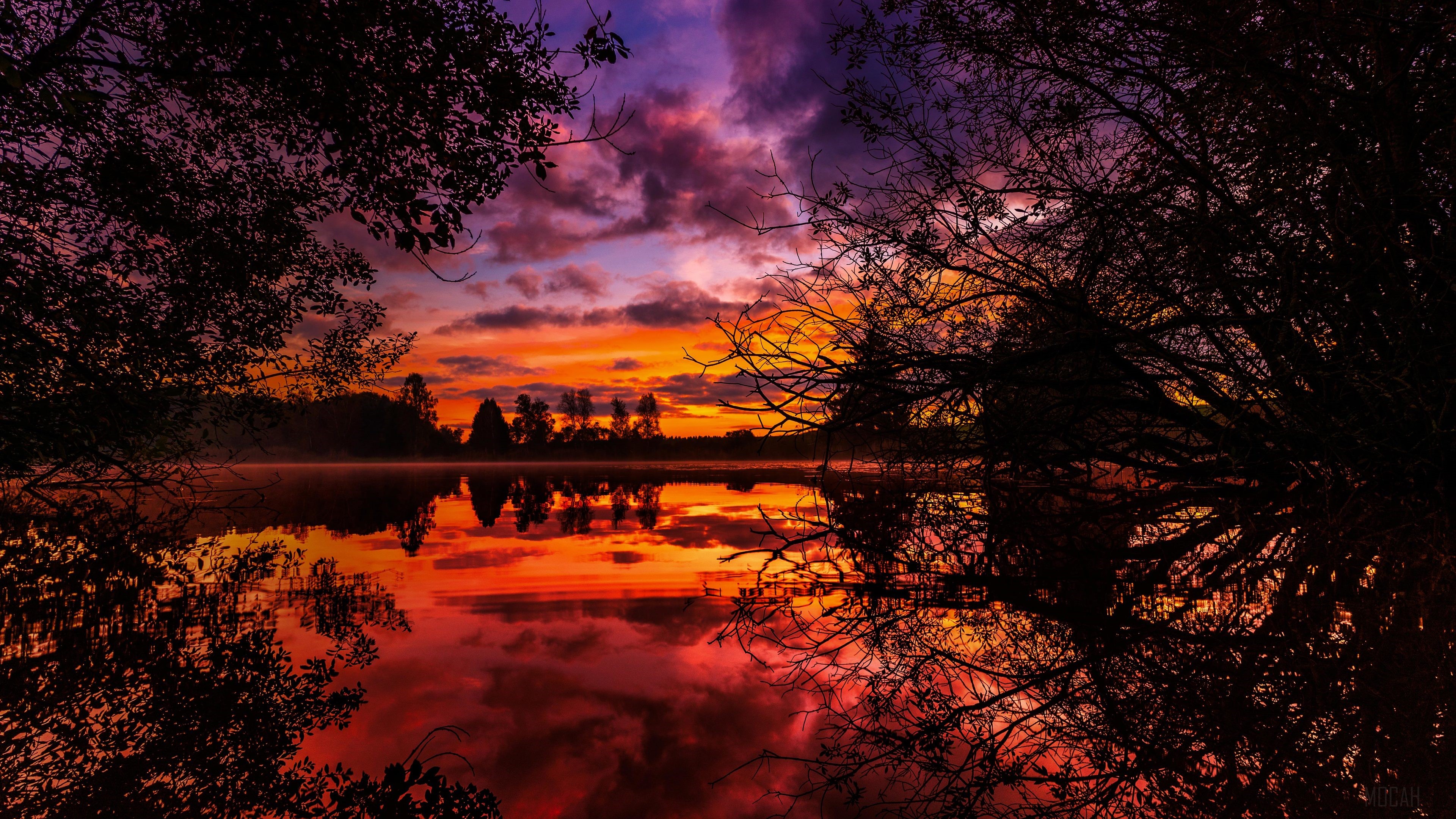 4K Autumn Sunset Over Lake with Silhouetted Trees HD Wallpaper