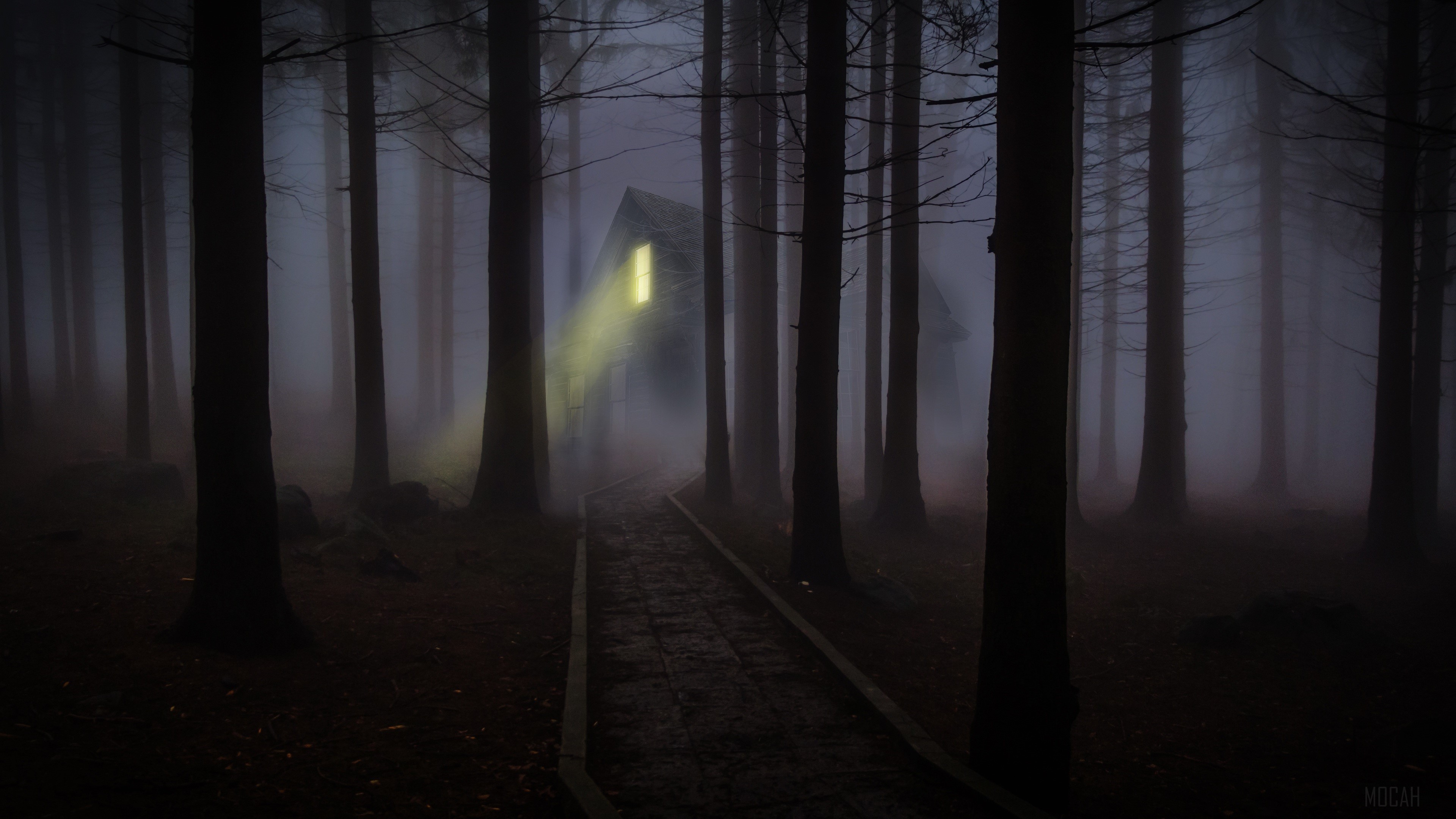 House in a foggy forest with a lit window HD Wallpaper