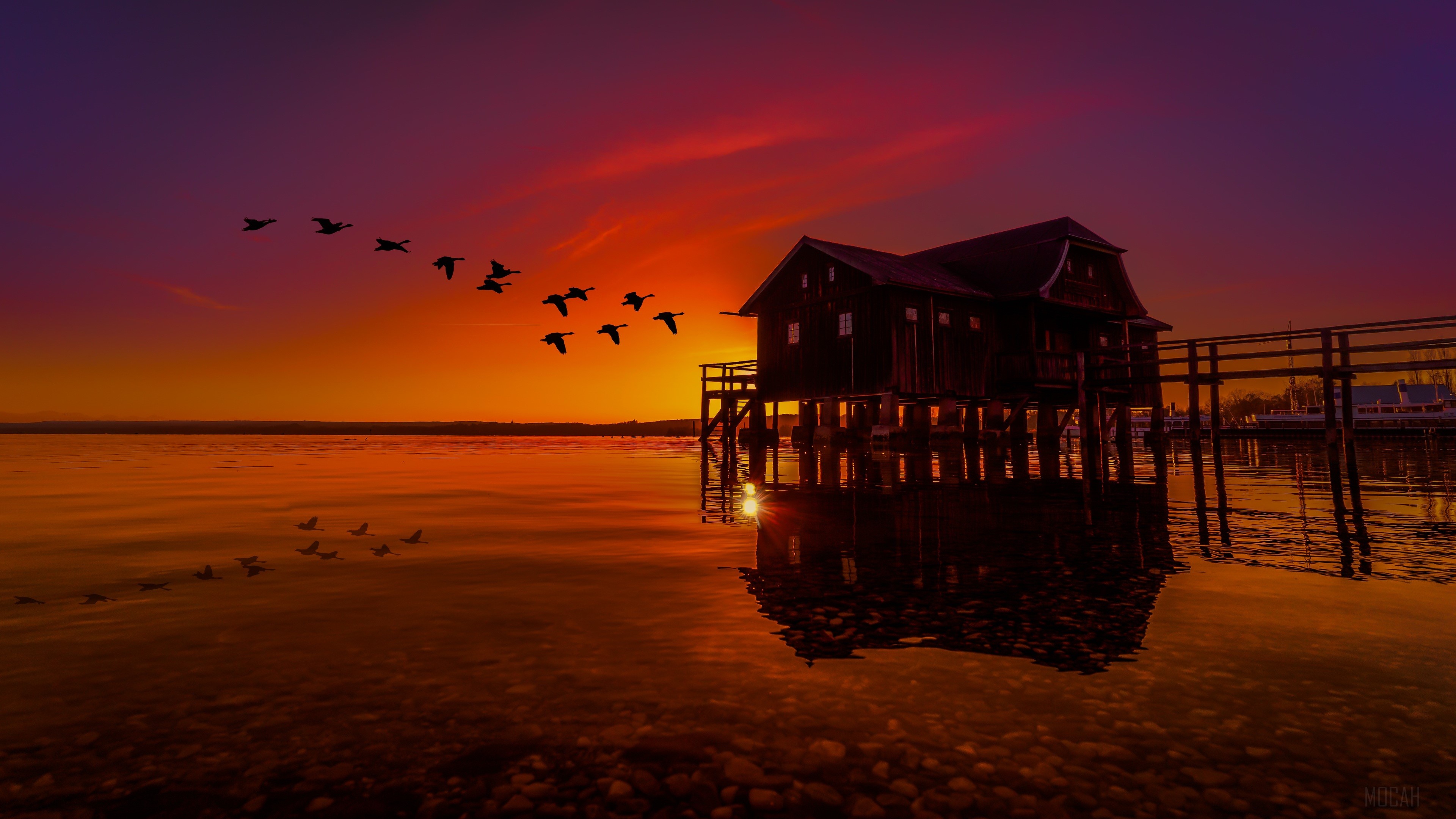 Birds Flying Over Lake House at Sunset 4K HD Wallpaper