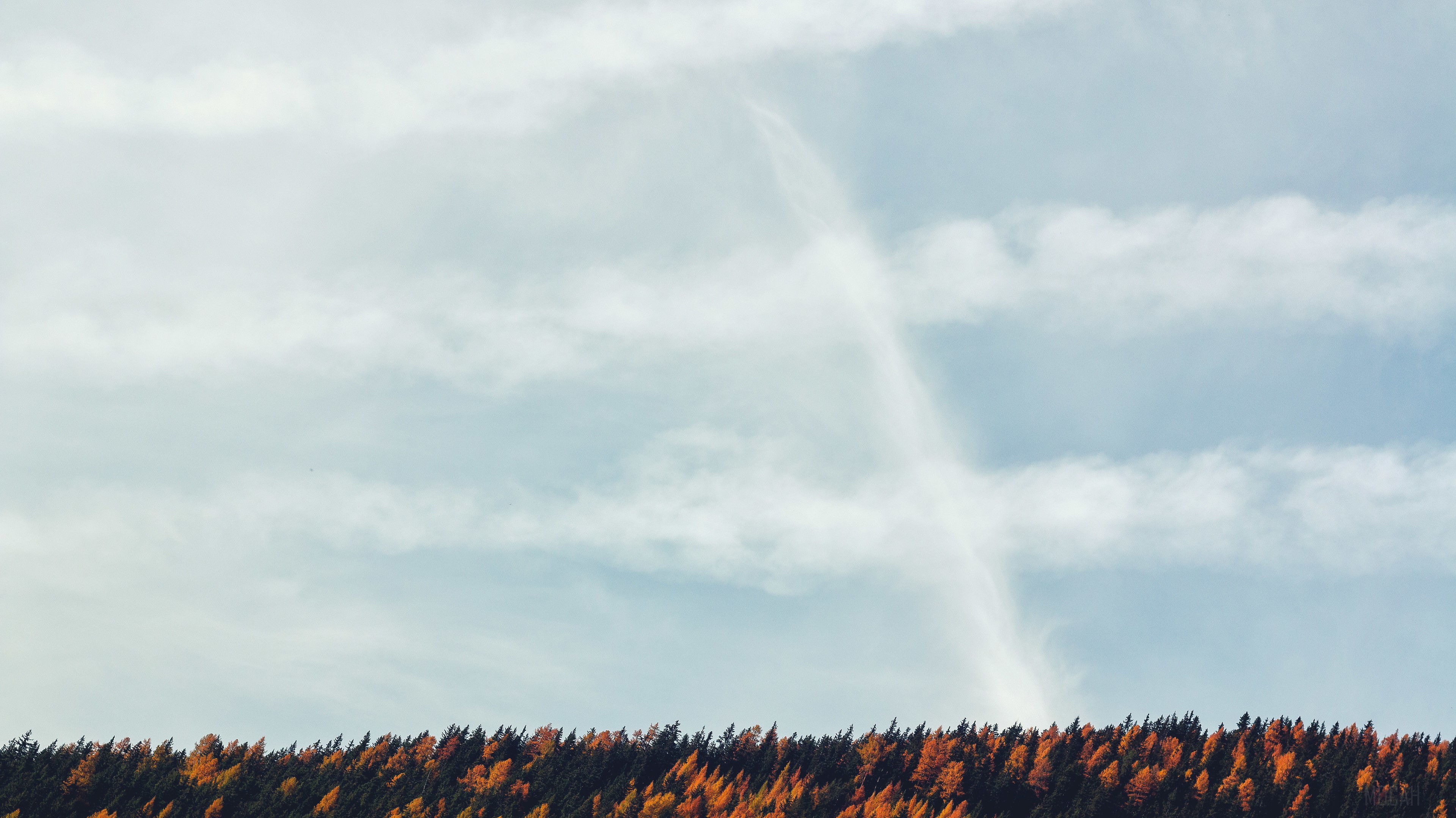 Autumn Forest Under a Cloudy Sky with a Rainbow HD Wallpaper
