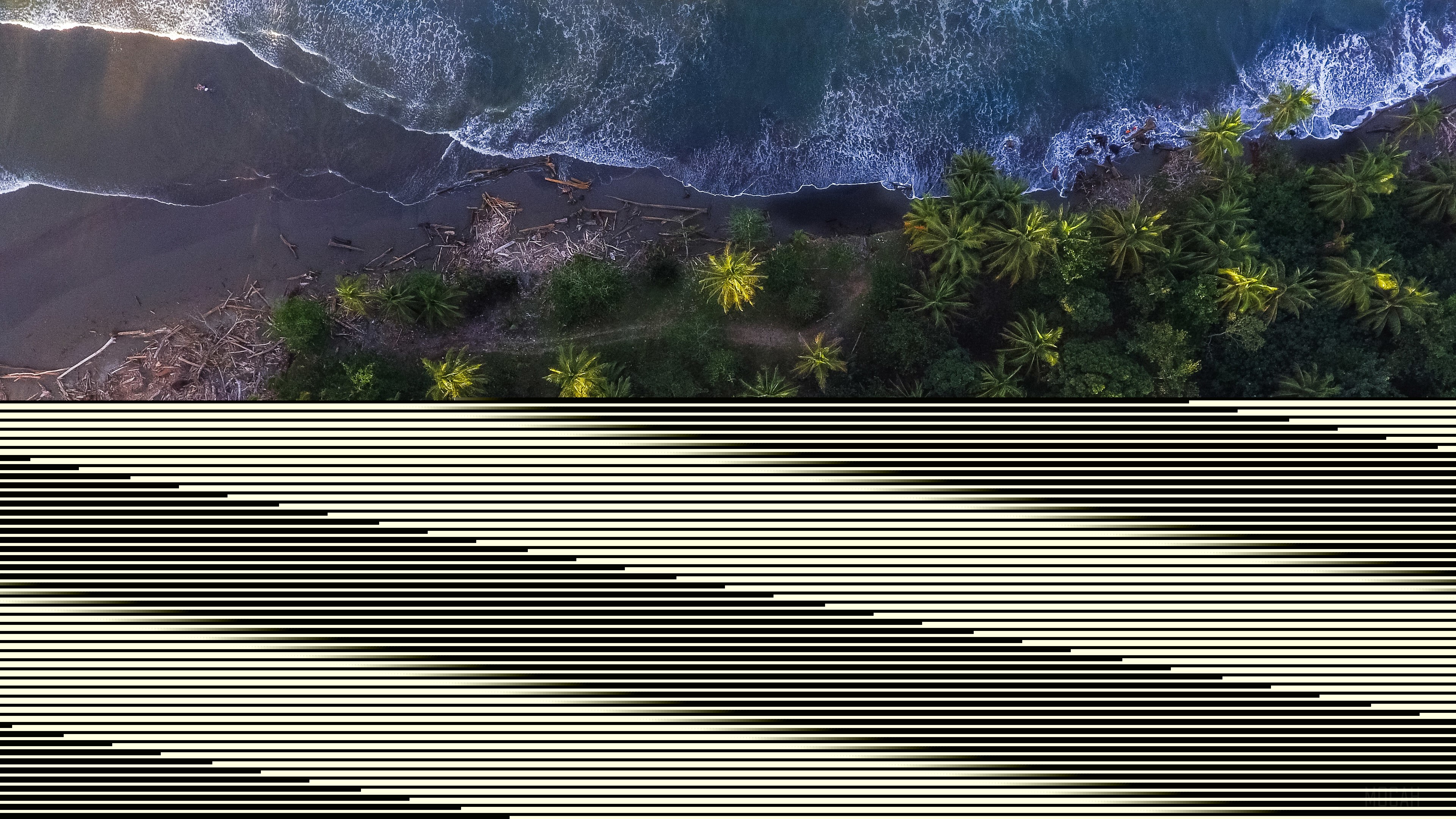 Aerial shot of a tropical coastline with palm trees HD Wallpaper