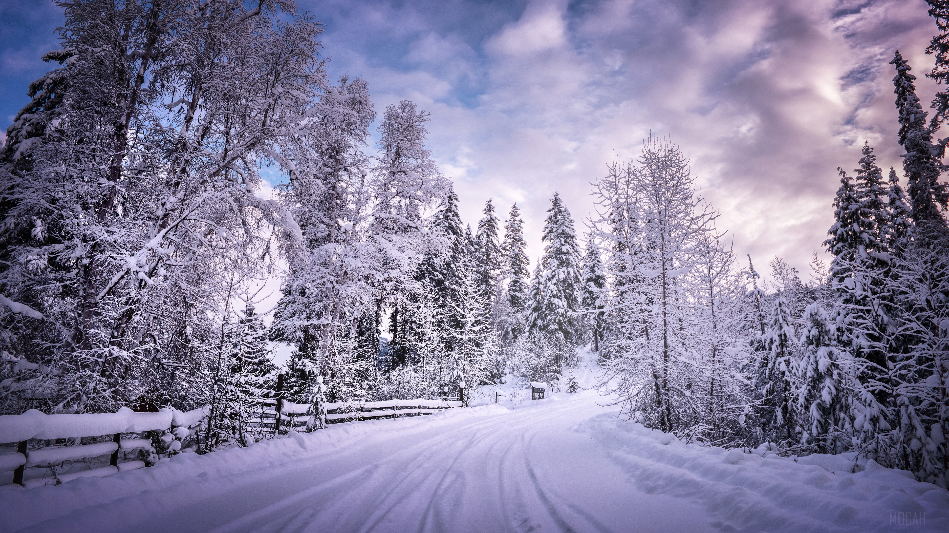 Winter Road Covered in Snow with Trees HD Wallpaper