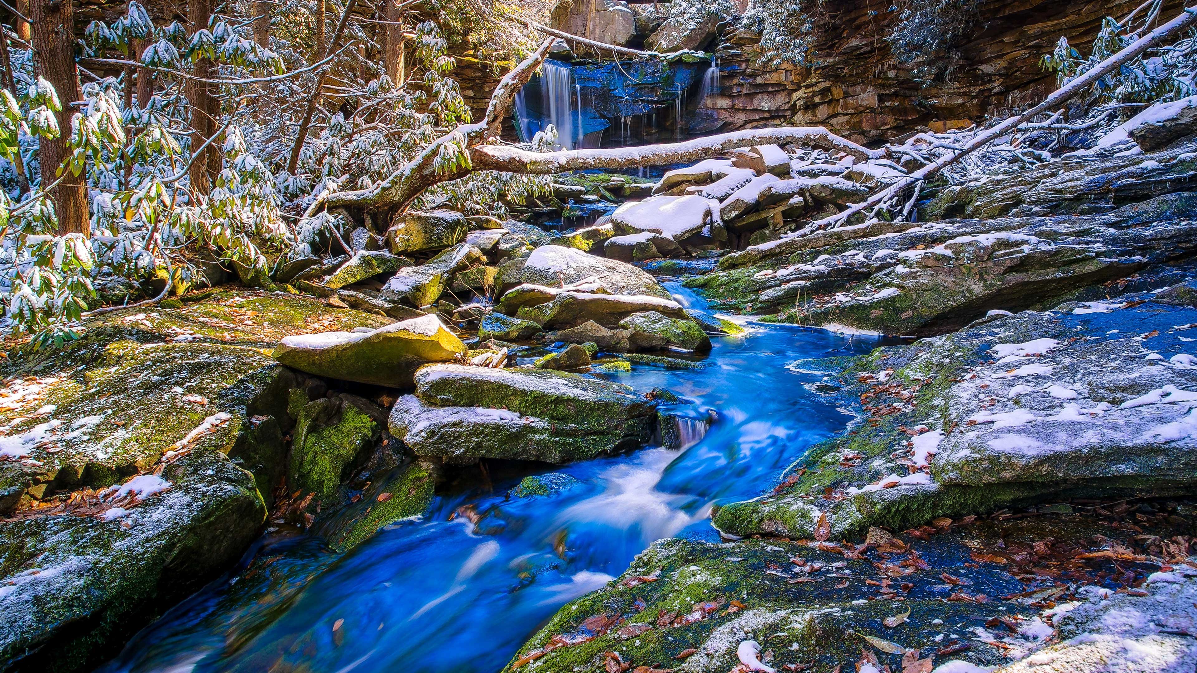 Waterfall in a Snowy Forest HD Wallpaper