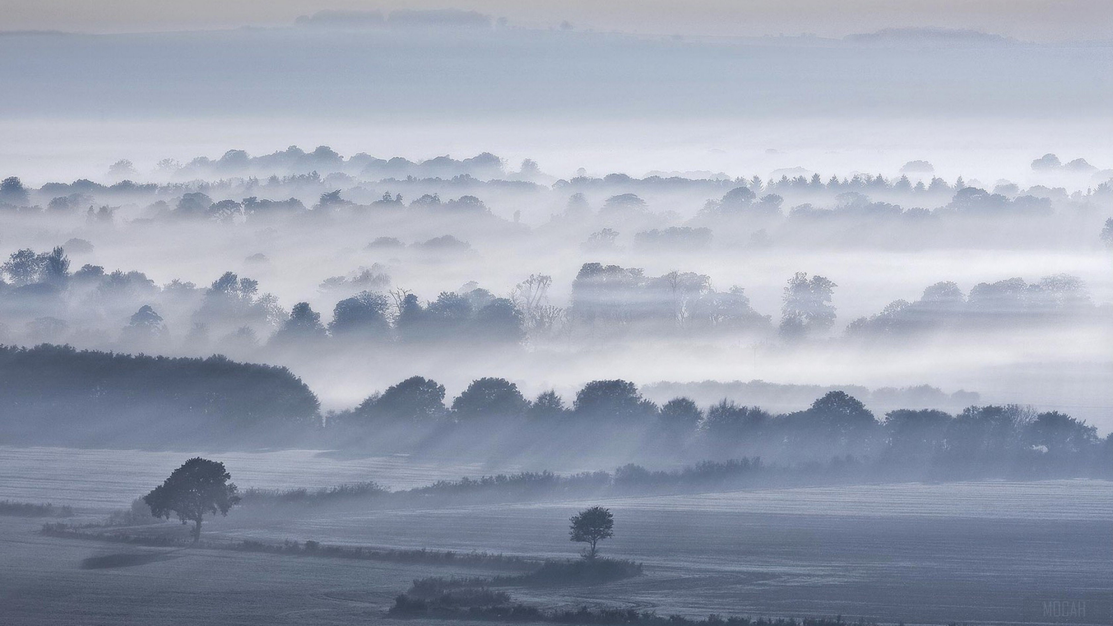 Foggy landscape with trees and rolling hills HD Wallpaper
