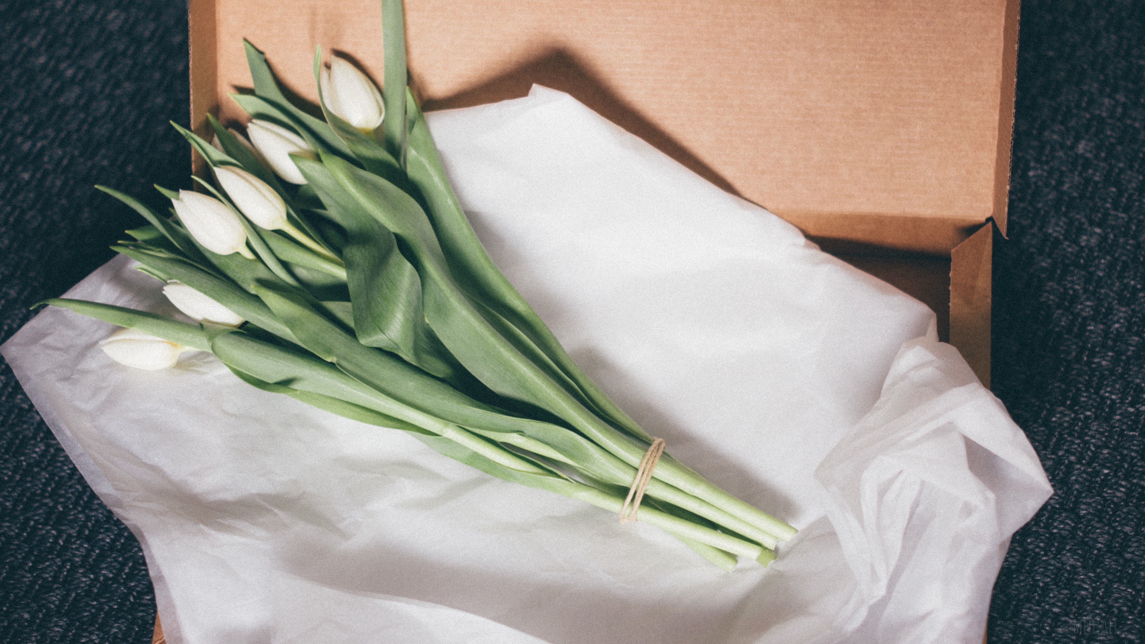 White tulips in a cardboard box with tissue paper HD Wallpaper