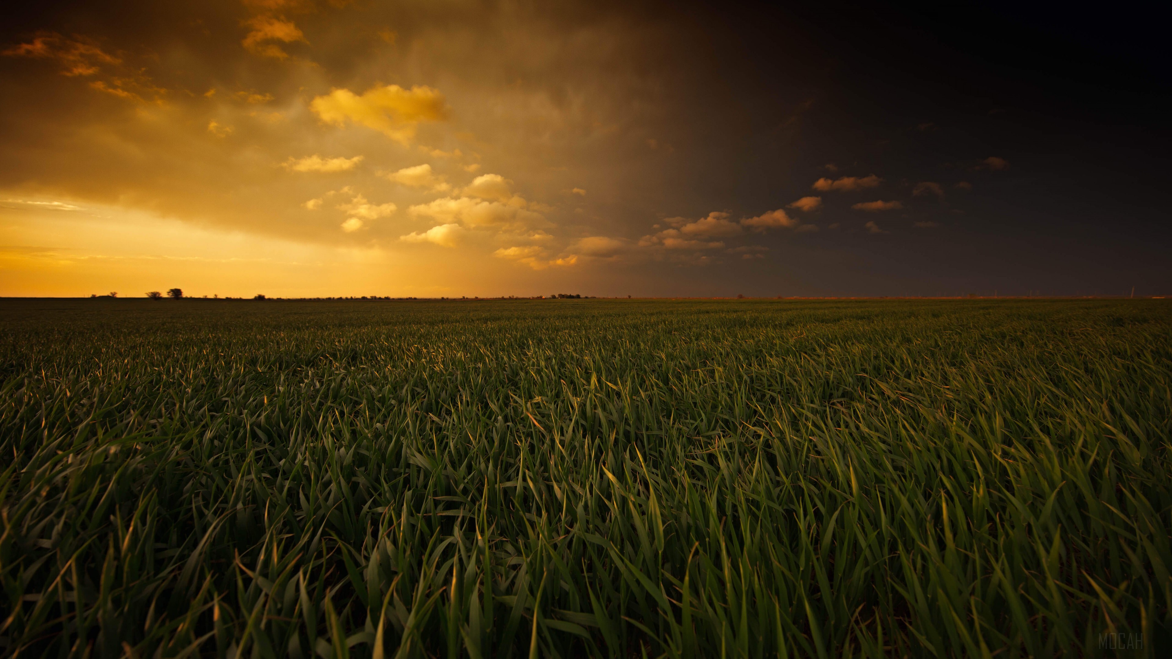 Breathtaking Sunset over a Field 4K HD Wallpaper