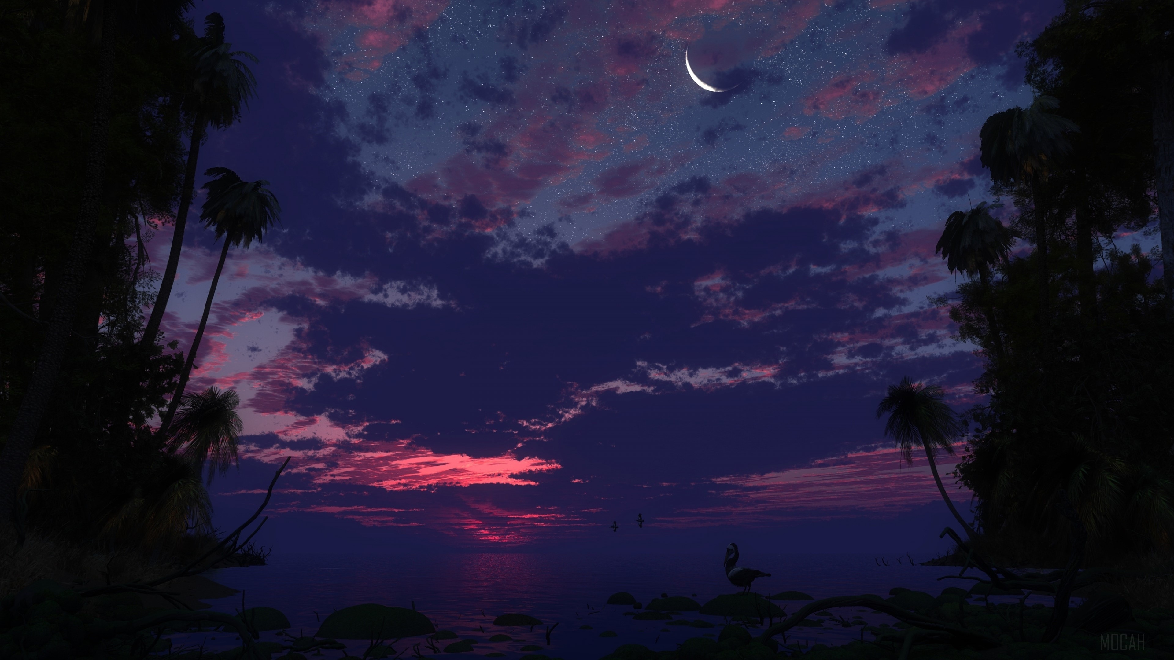 Serene Nightscape with Crescent Moon and Palm Trees 4K HD Wallpaper