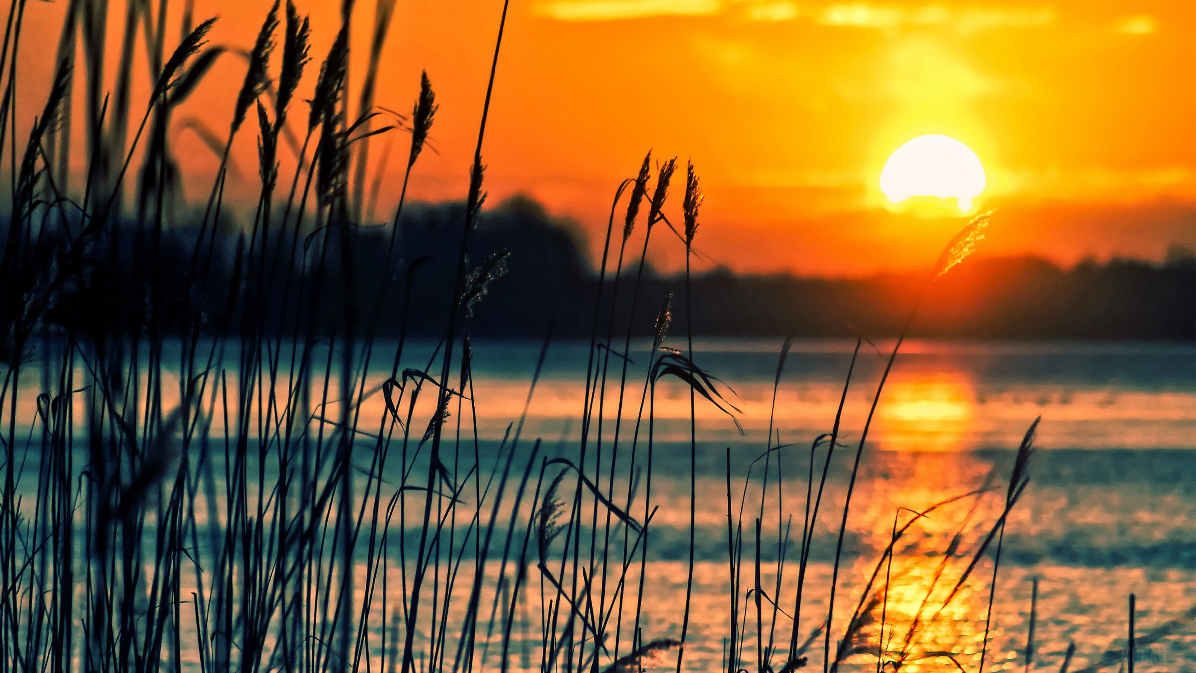 Sunset over a lake with reeds HD Wallpaper