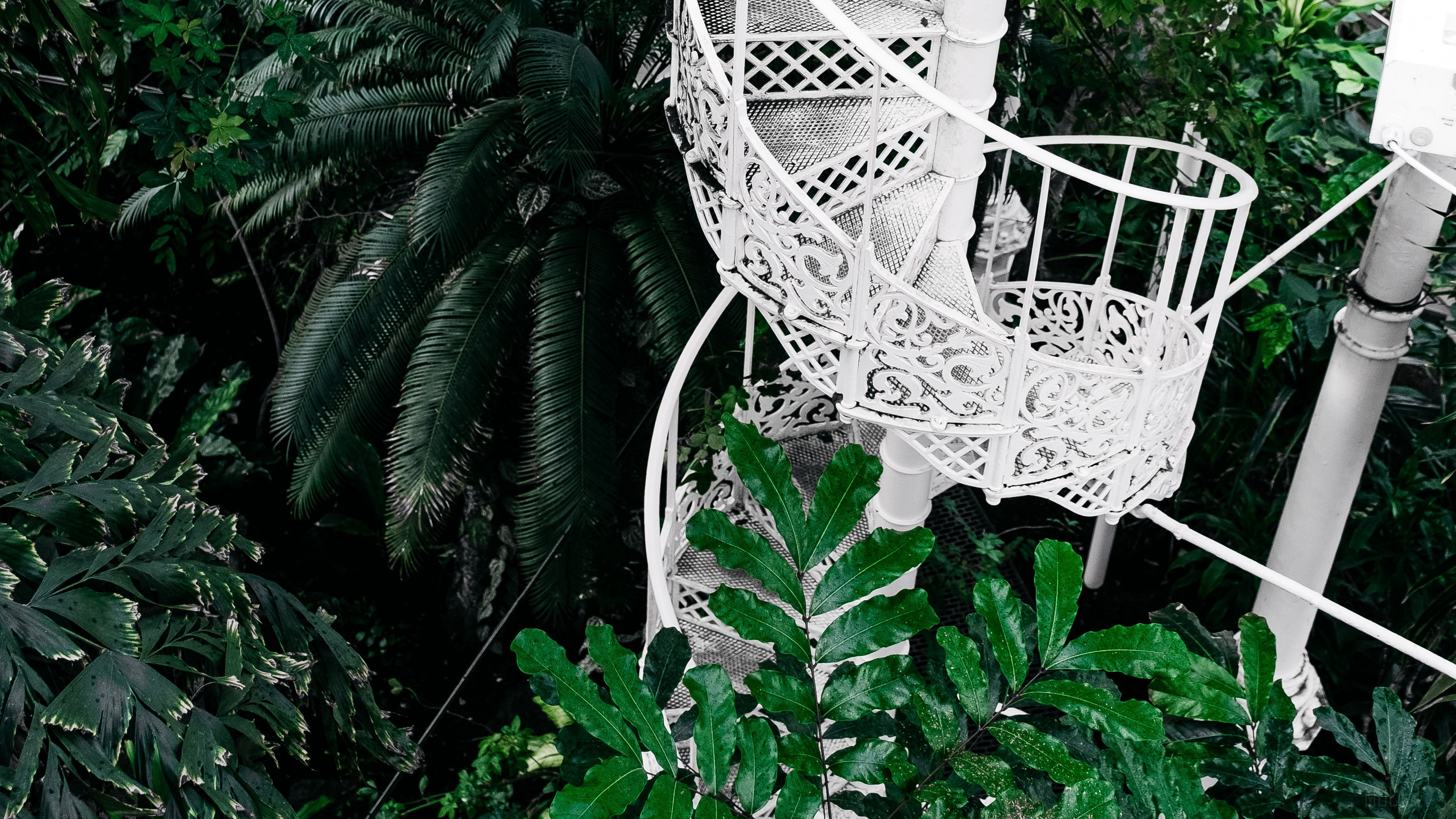 White spiral staircase in a botanical garden with plants 4K HD Wallpaper