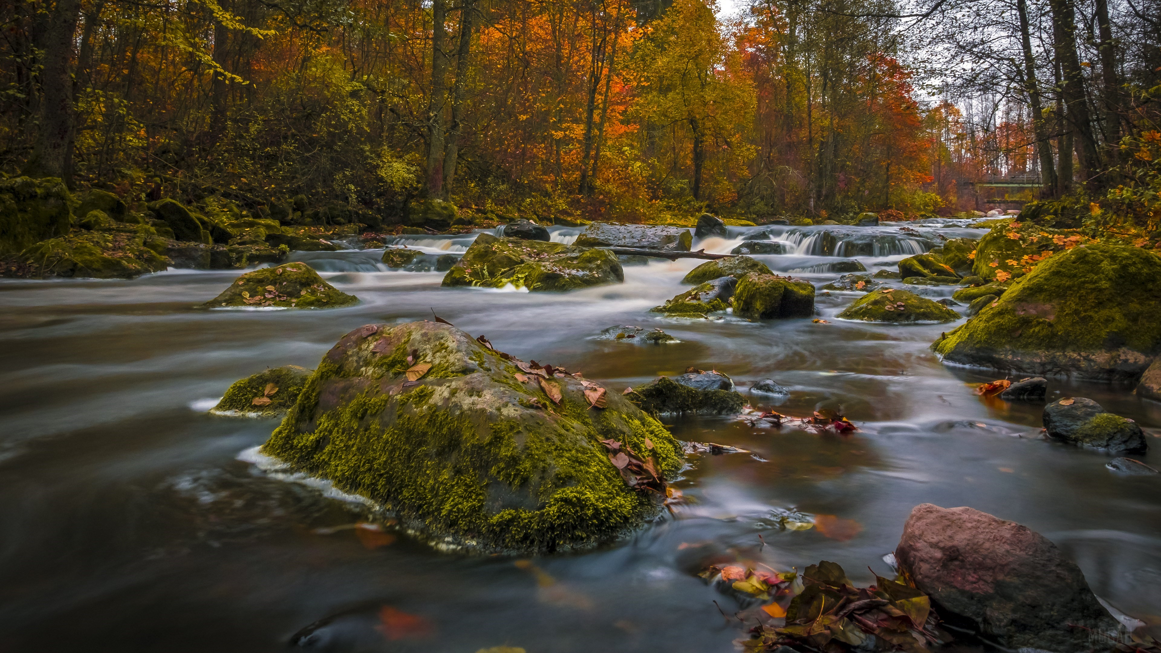 Colors Of Autumn HD Wallpaper