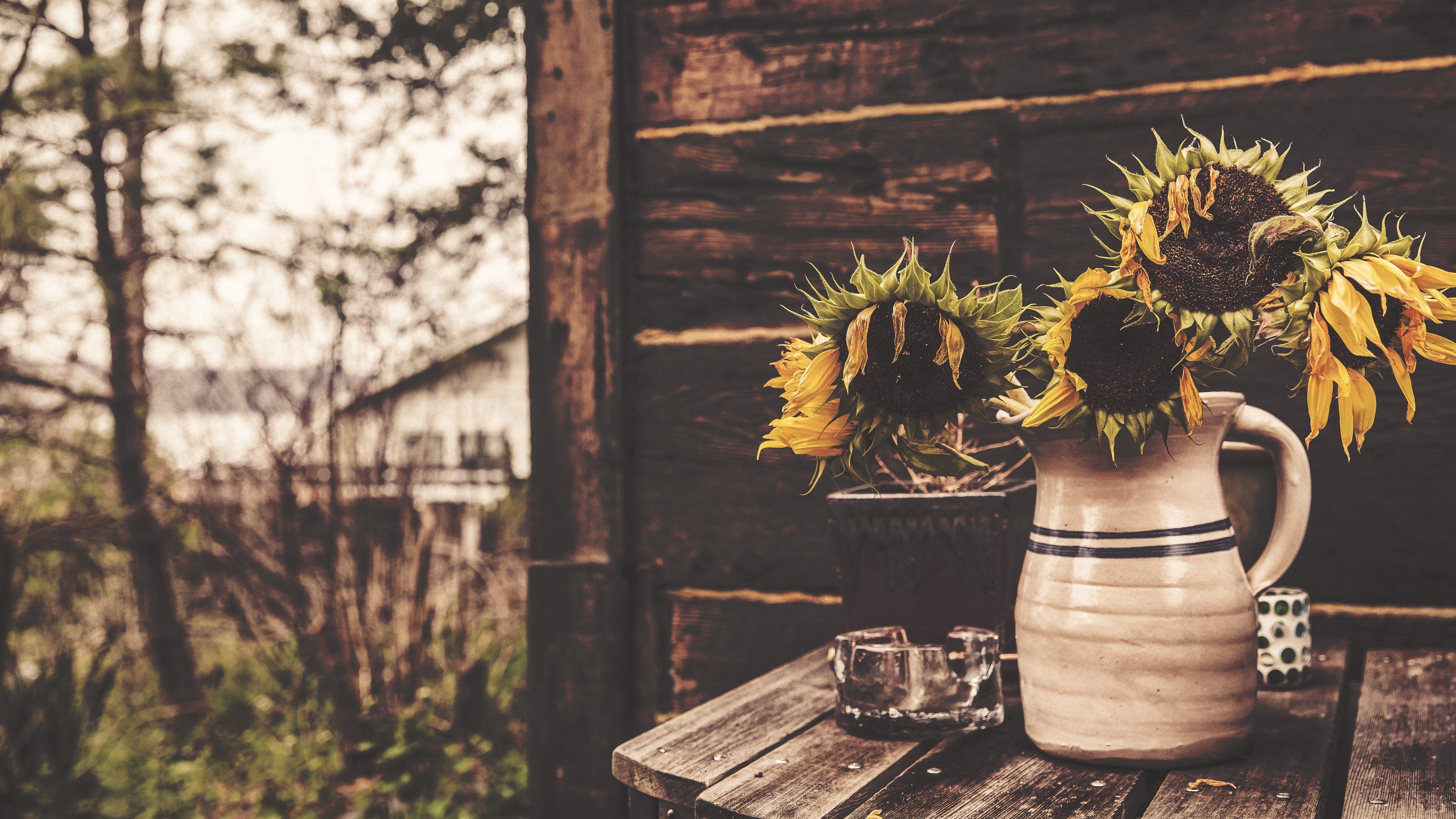 Sunflowers in a vase on a wooden table HD Wallpaper