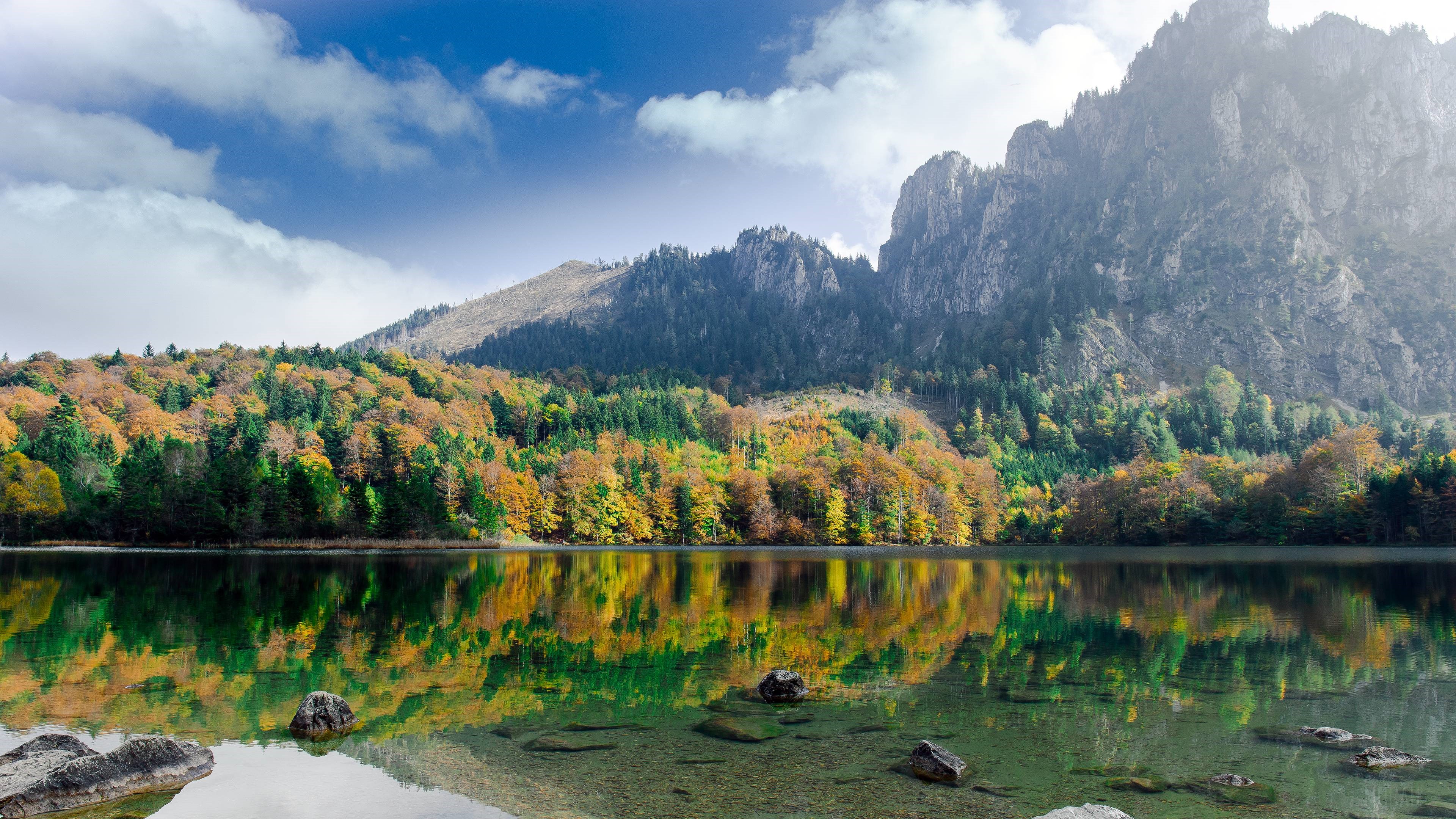 Autumn forest reflected in a mountain lake HD Wallpaper