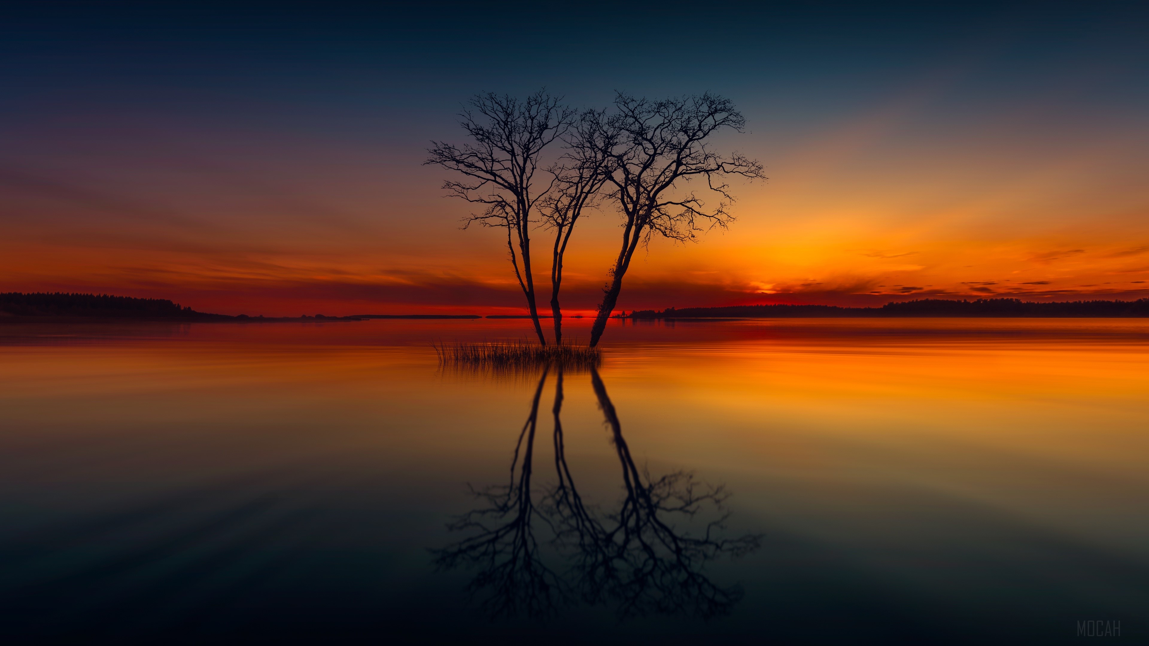 Trees reflected in lake at sunset HD Wallpaper