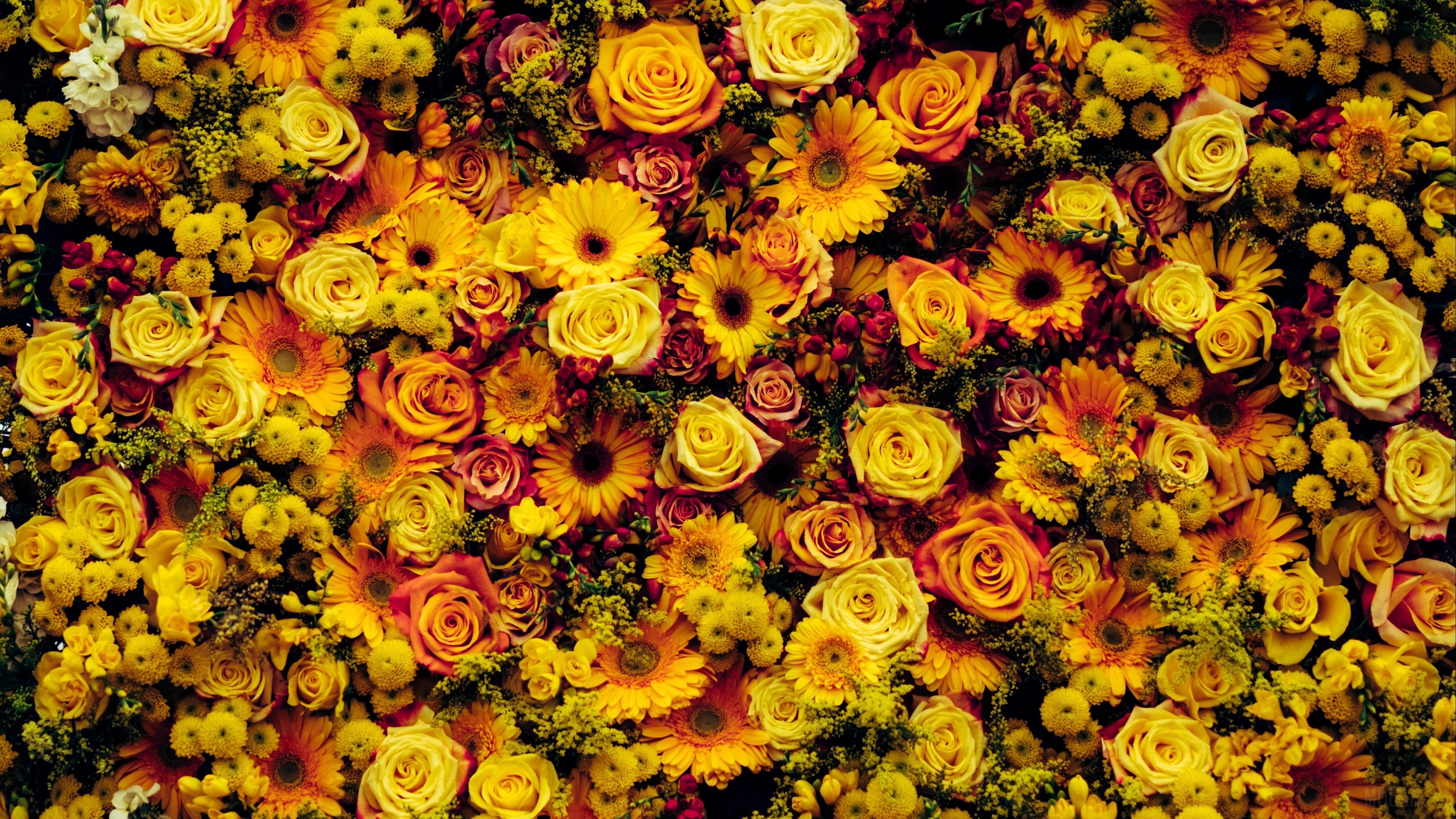 Floral carpet of yellow and orange flowers HD Wallpaper