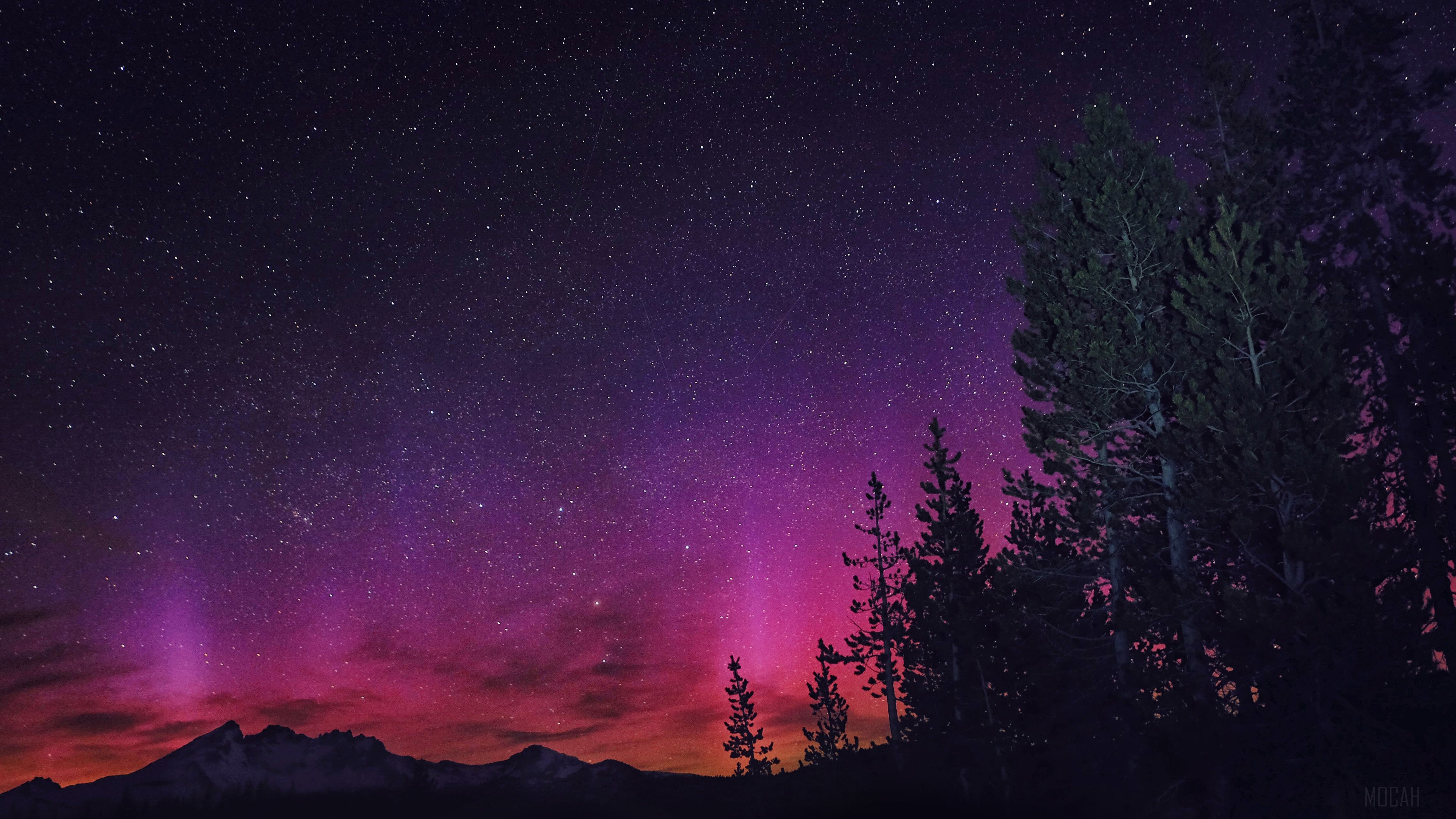Aurora Borealis over Mountains and Trees 4K HD Wallpaper