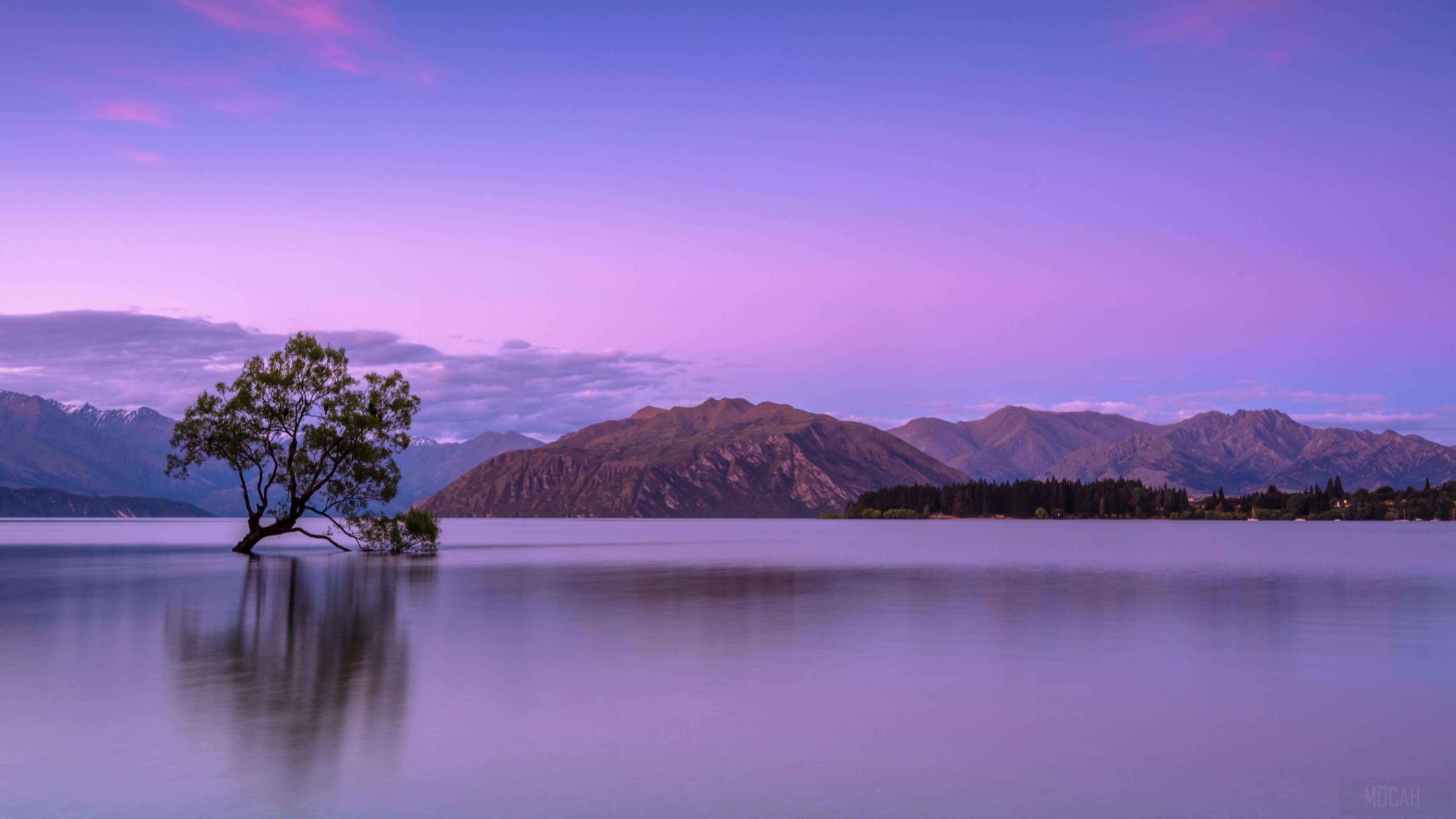 The Wanaka Tree with Purple Sky and Mountains 4K HD Wallpaper