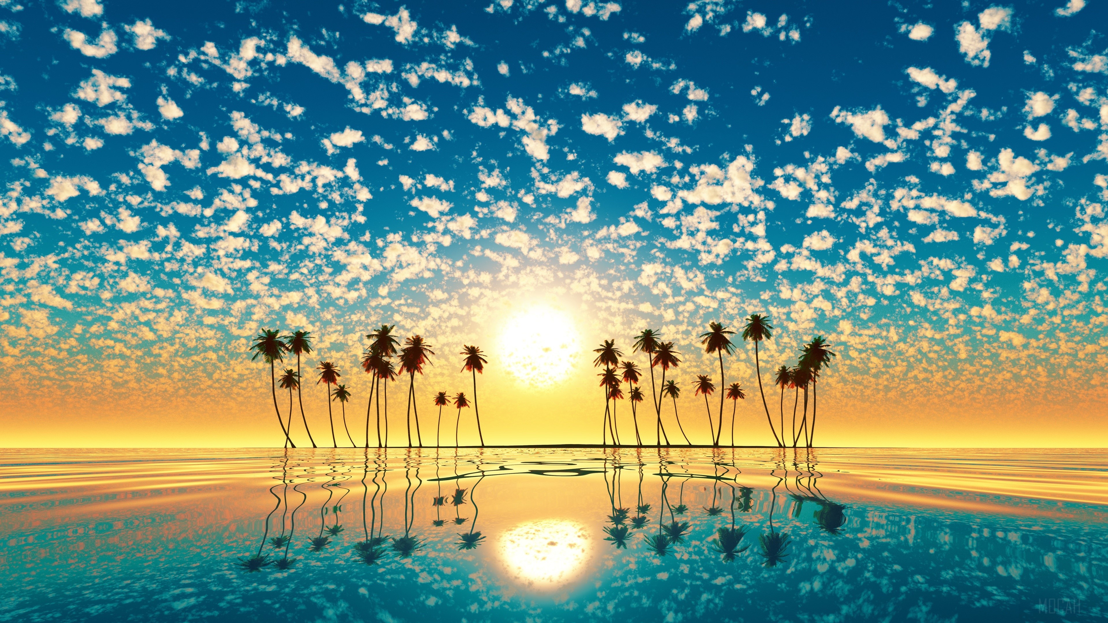 Palm Trees Reflection Sunset HD Wallpaper