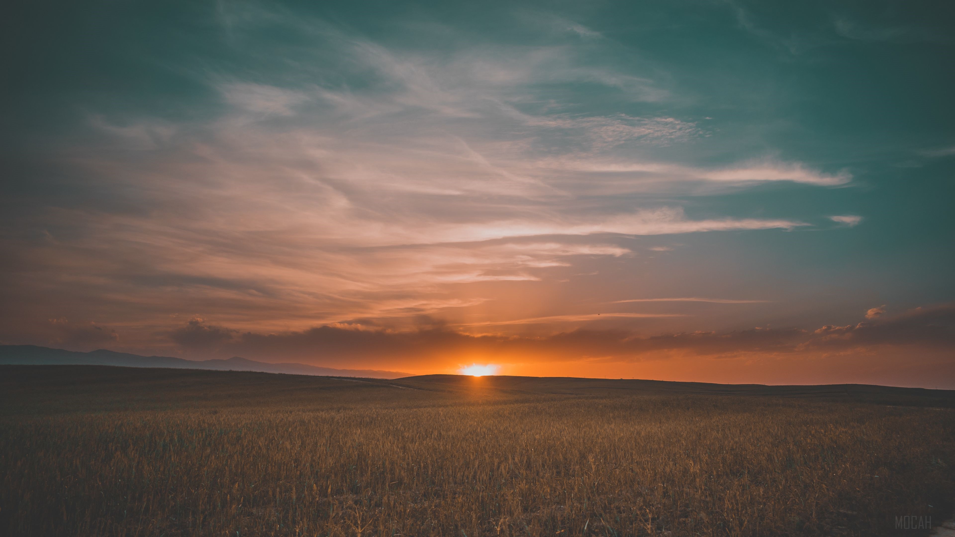 Field Sunrise HD Wallpaper
