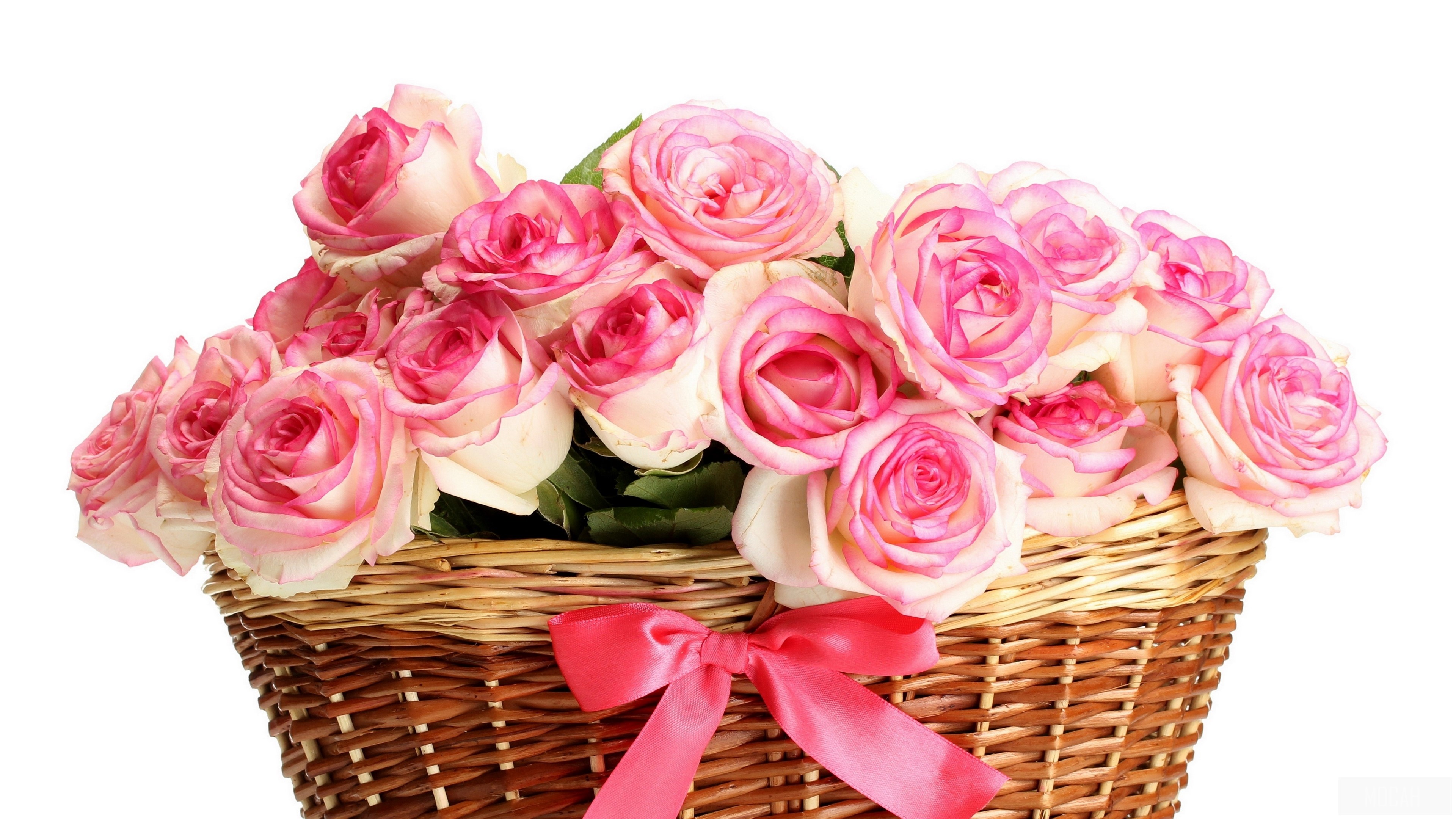 Pink Roses in a Basket with Bow 4K HD Wallpaper
