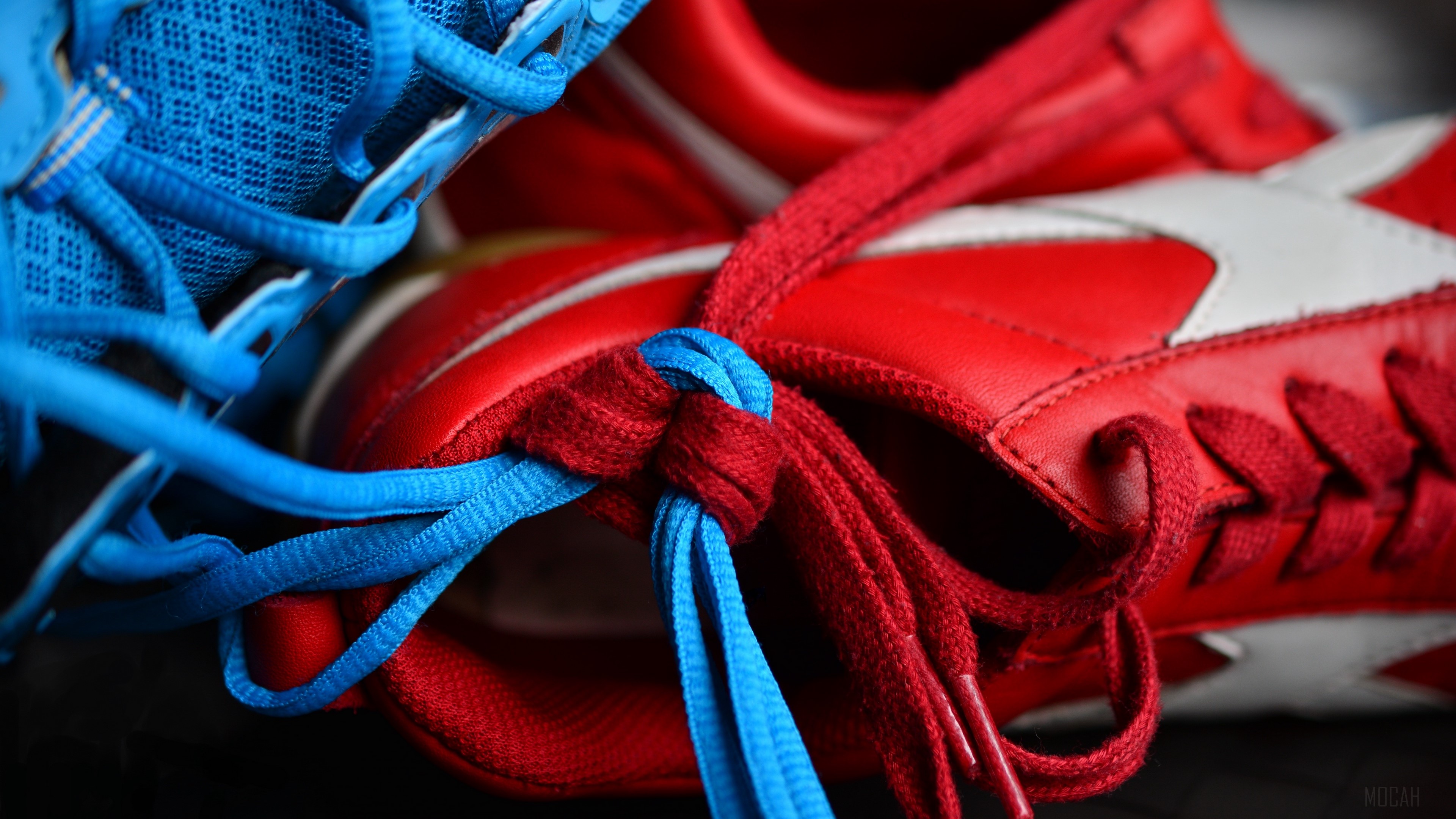 Red and blue sneakers with tied shoelaces 4K HD Wallpaper