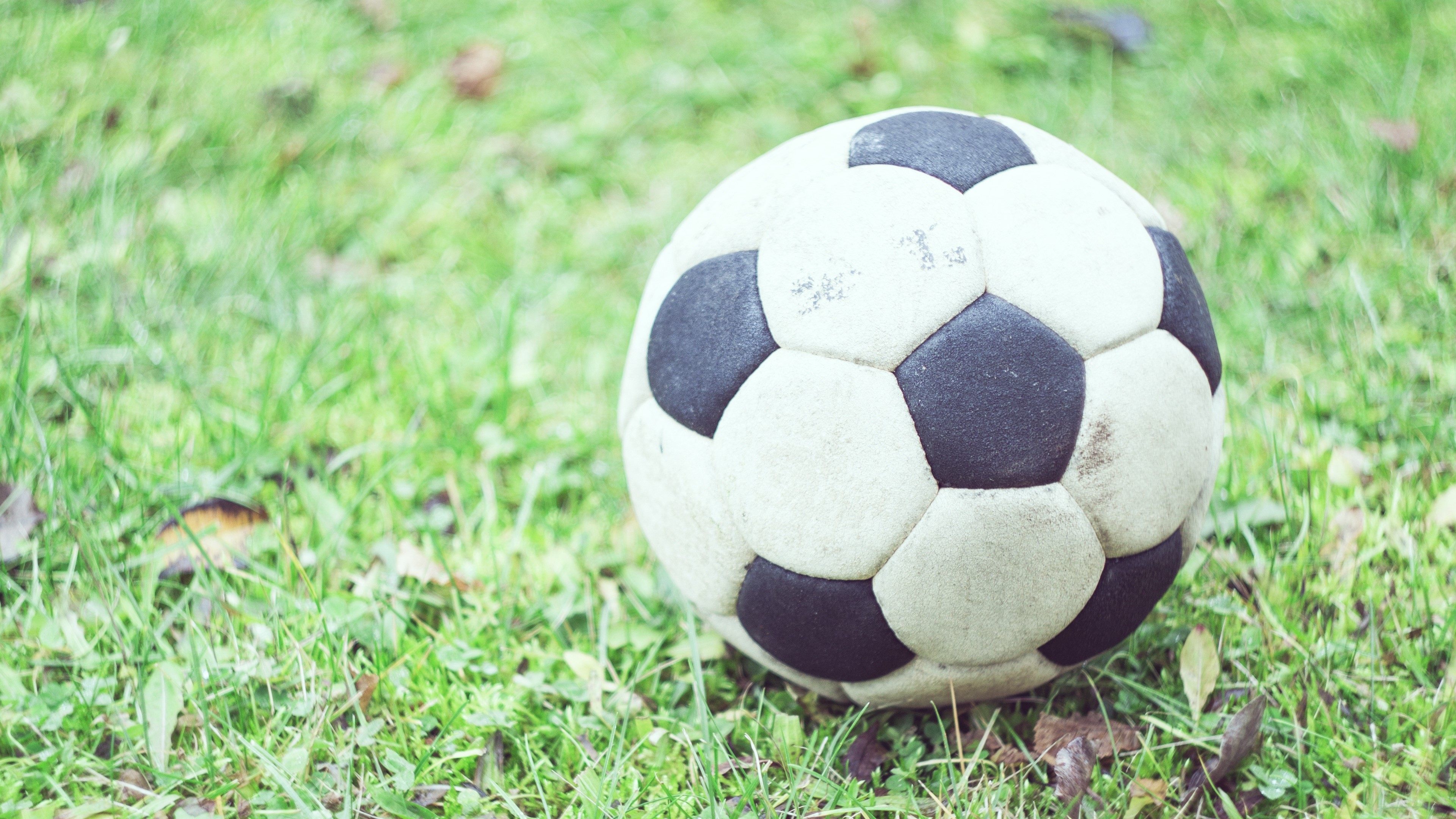 Soccer ball on grass, 4K HD Wallpaper