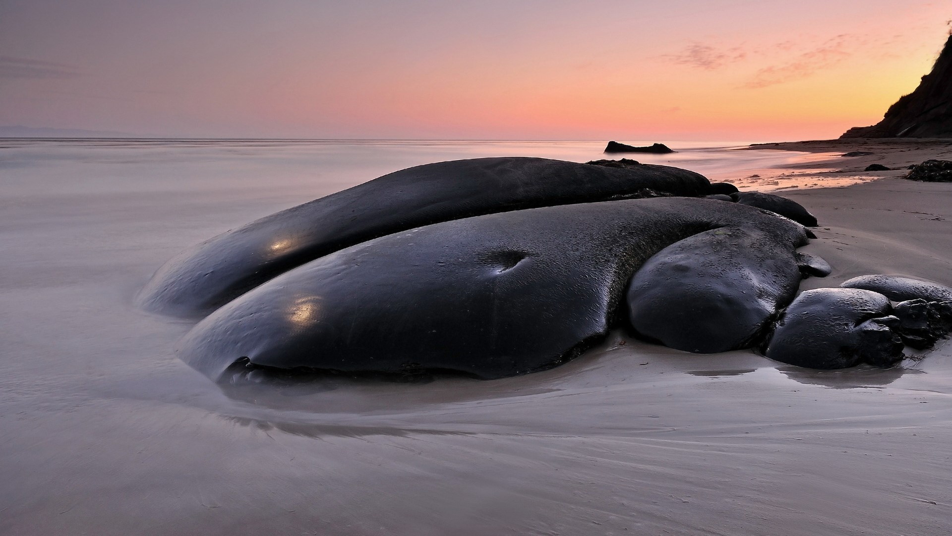 Dark rocks on a beach at sunset HD Wallpaper