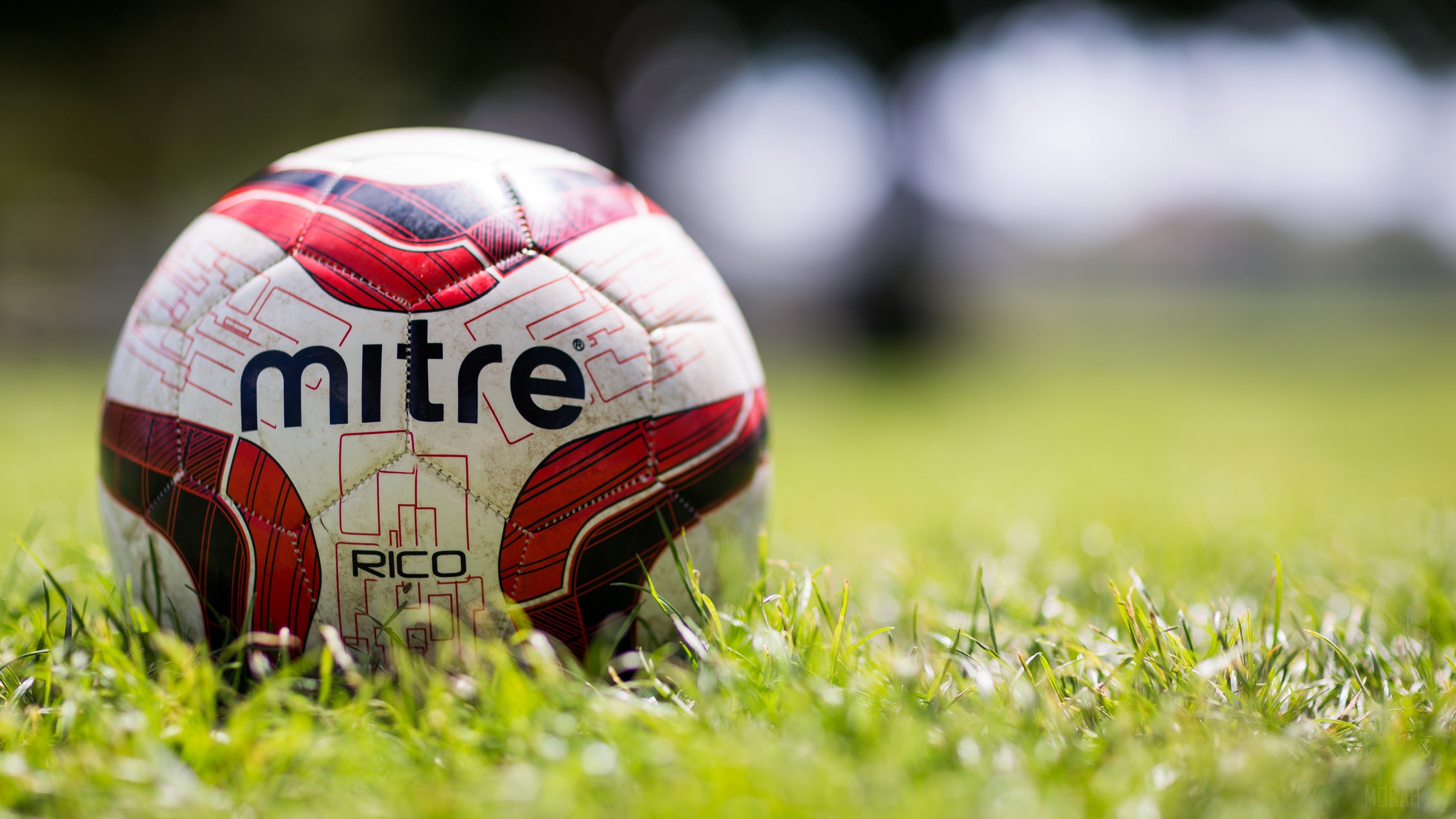 Mitre Rico football on grass 4K HD Wallpaper
