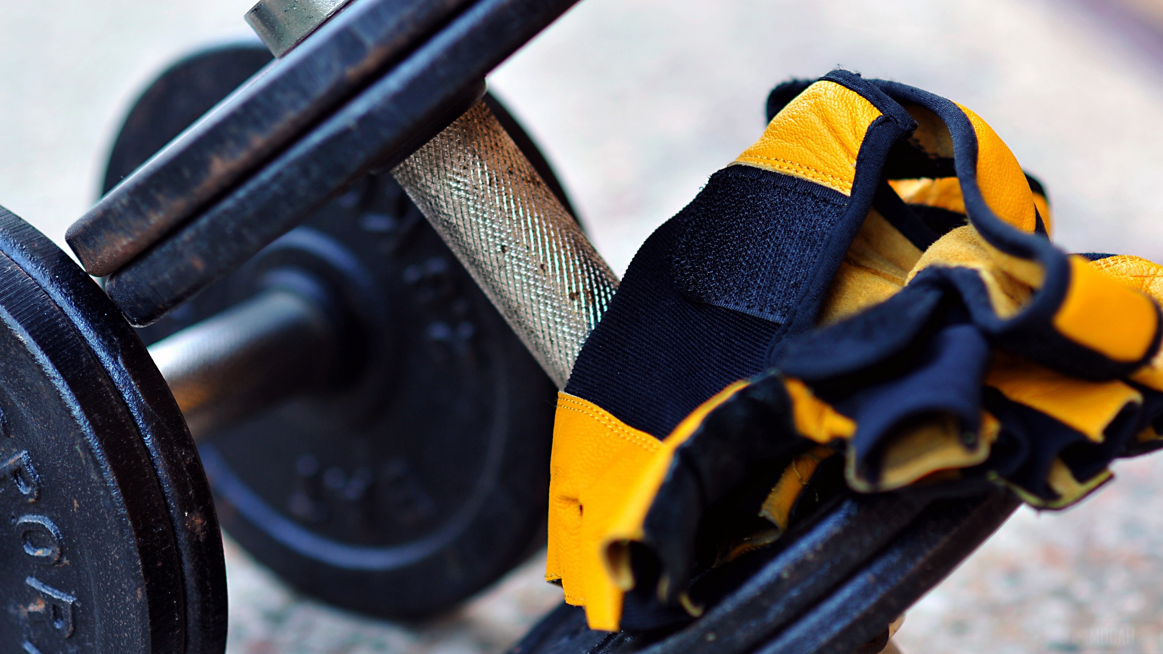 Dumbbell and workout gloves HD Wallpaper