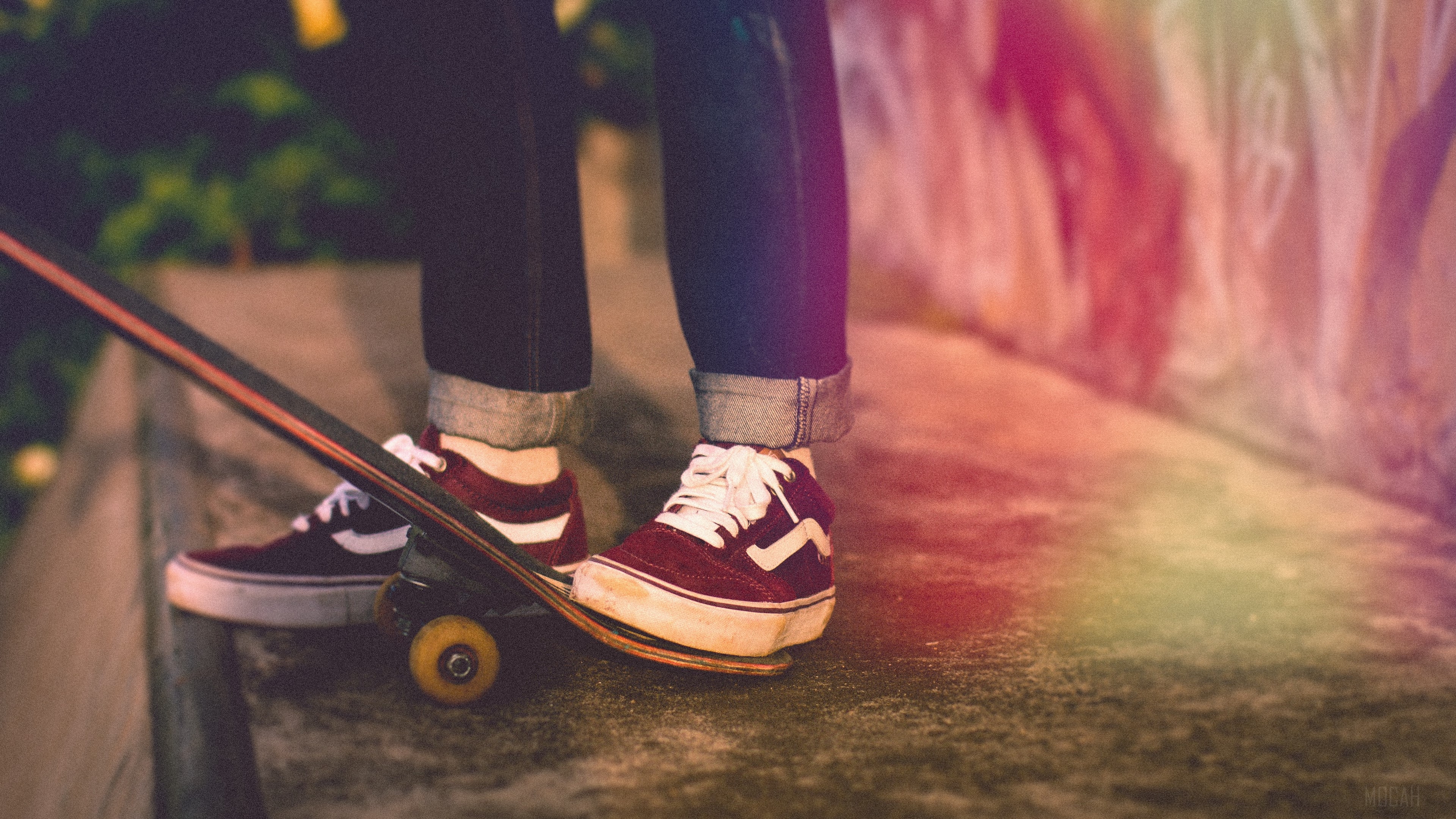 Person on a skateboard wearing Vans sneakers HD Wallpaper