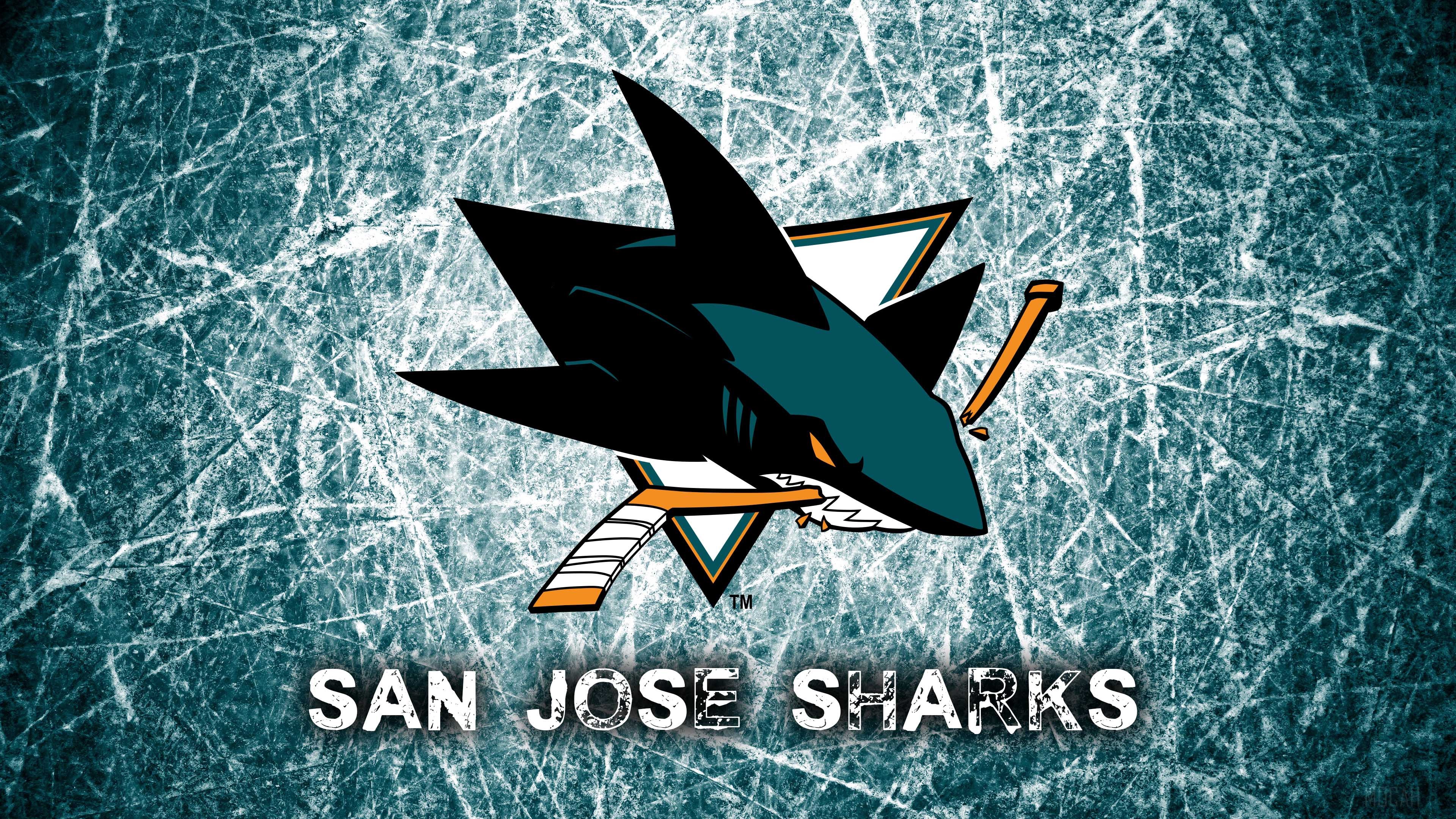 San Jose Sharks Logo 4K HD Wallpaper