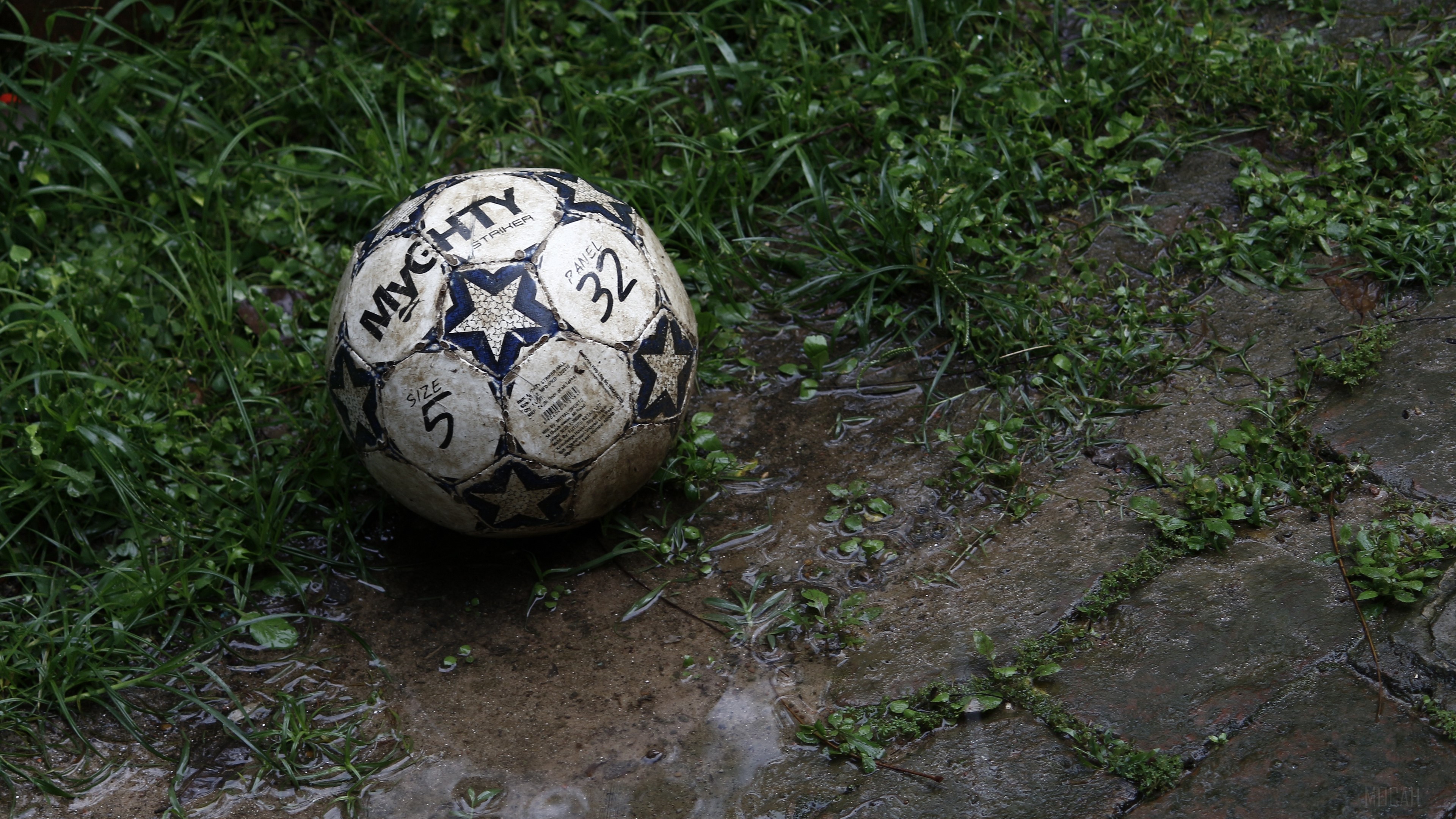 Soccer ball on wet ground with grass HD Wallpaper